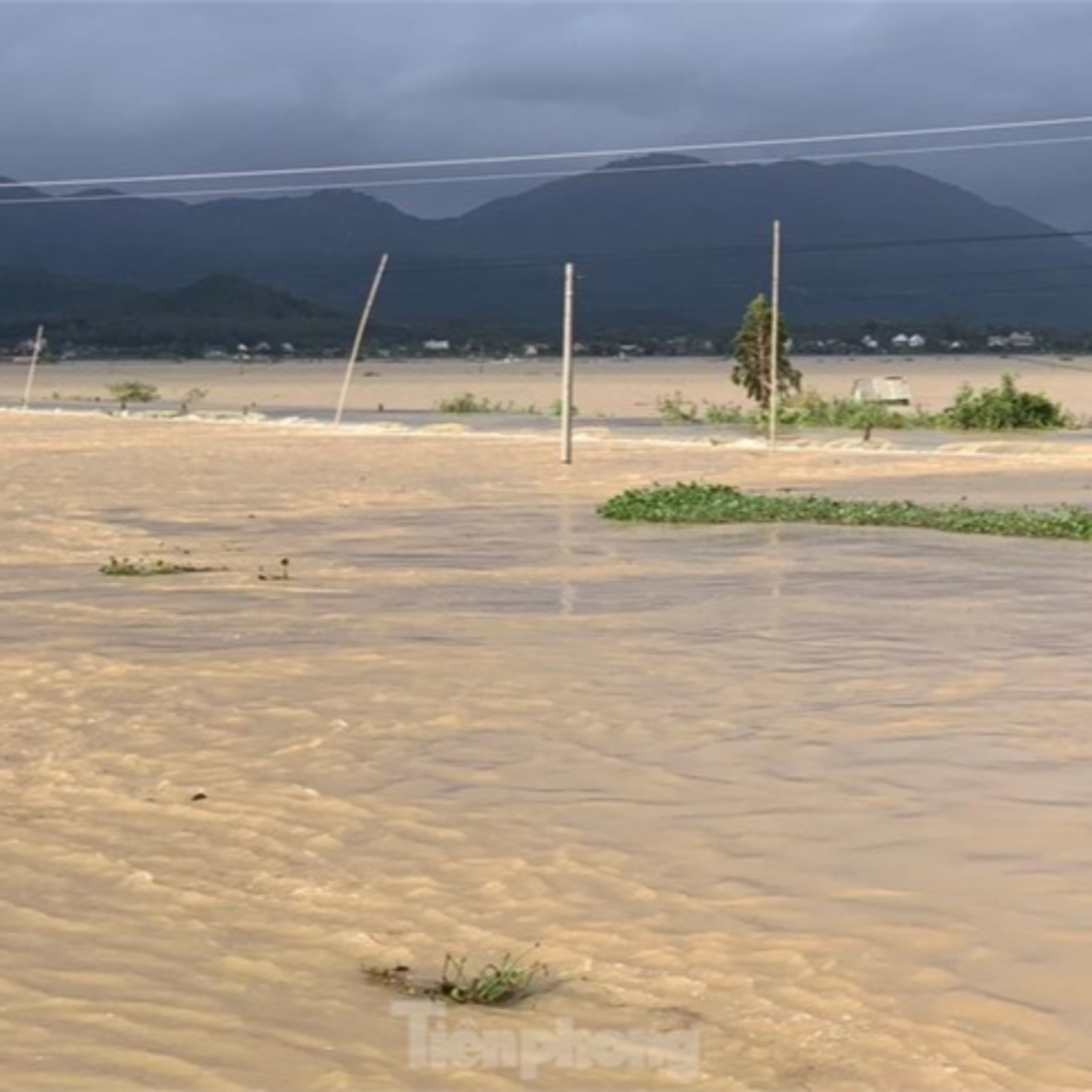 Thời sự 18h (29/9/2022)