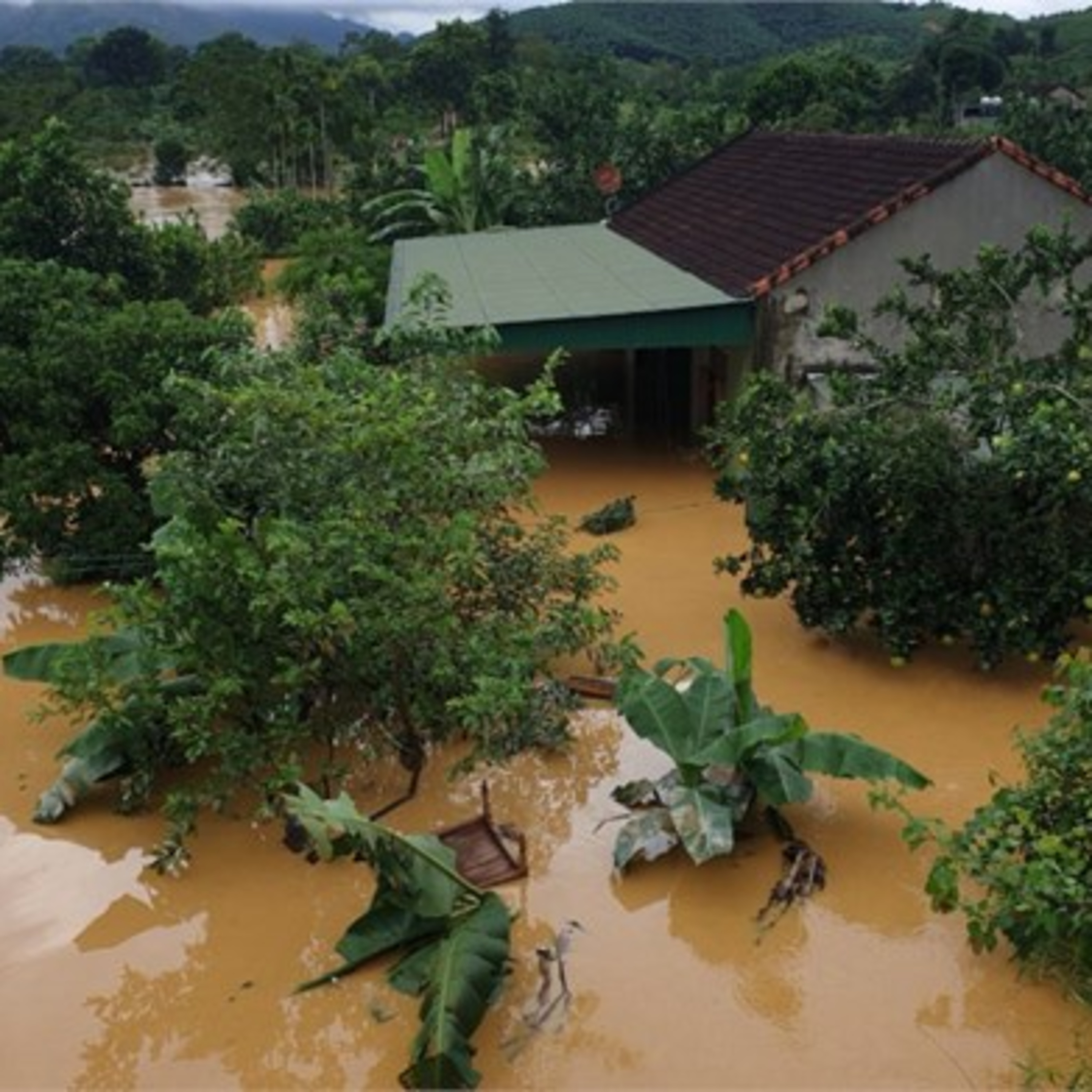 Thời sự 12h (1/10/2022)