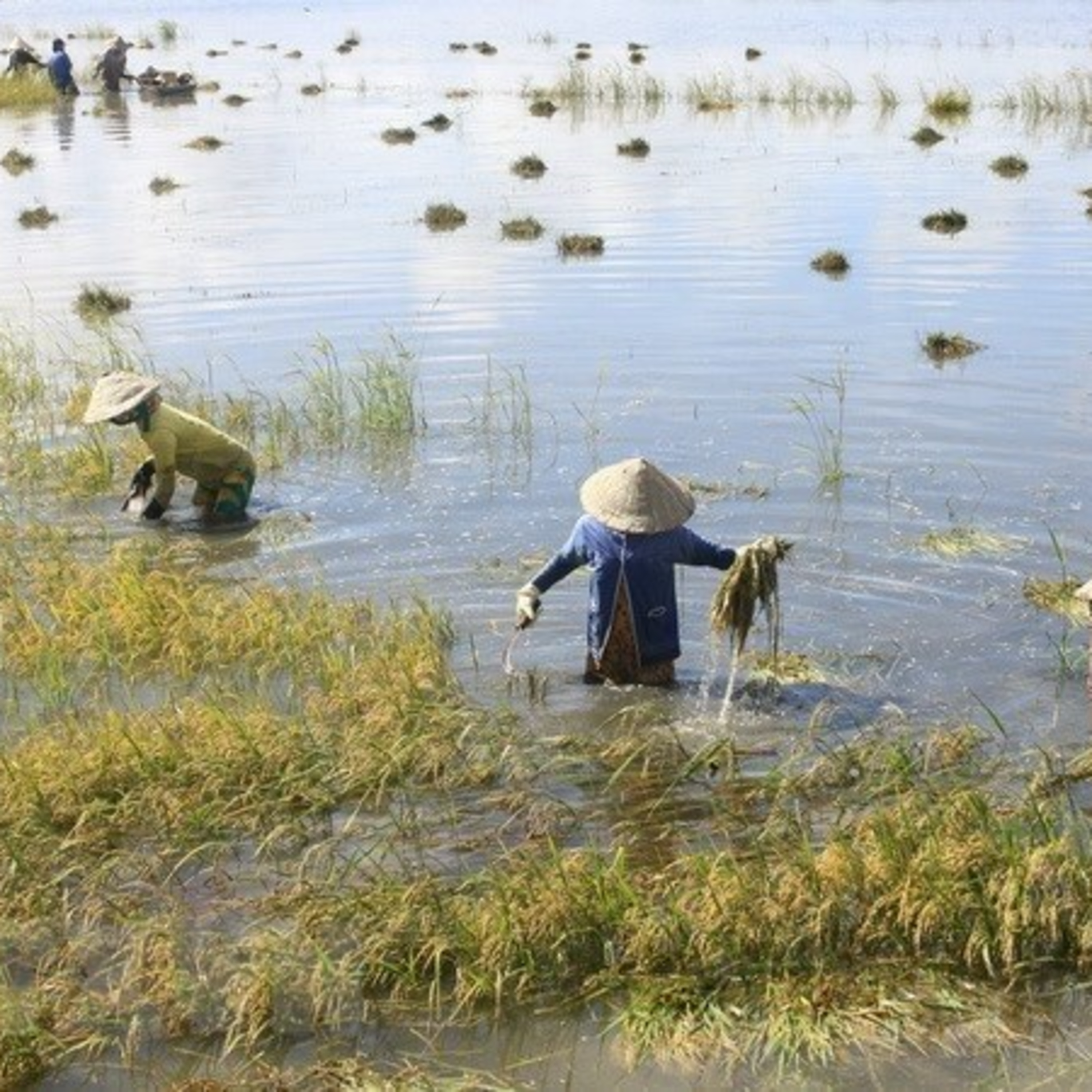 Thời sự 6h (27/10/2022)