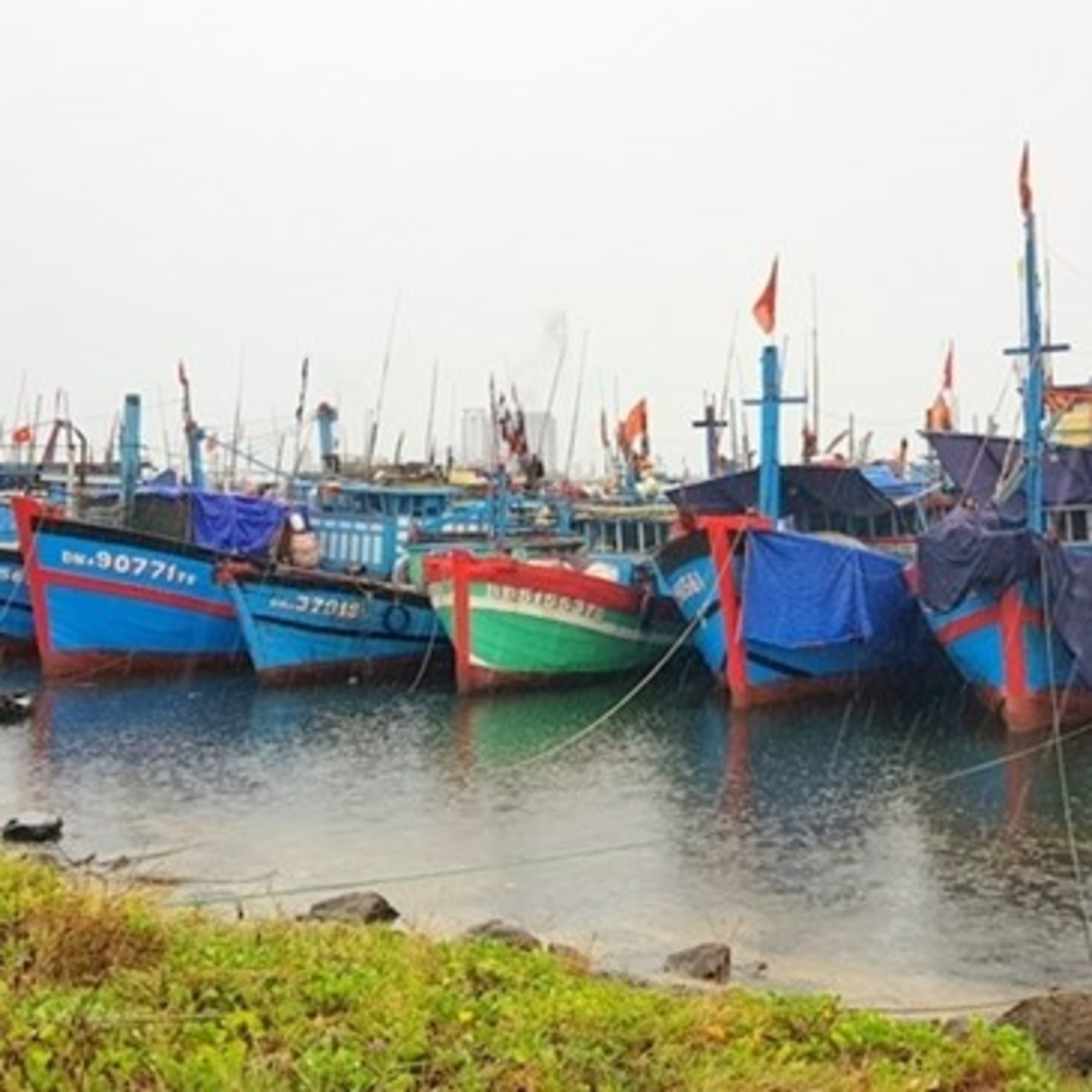 Thời sự 12h (31/10/2022)