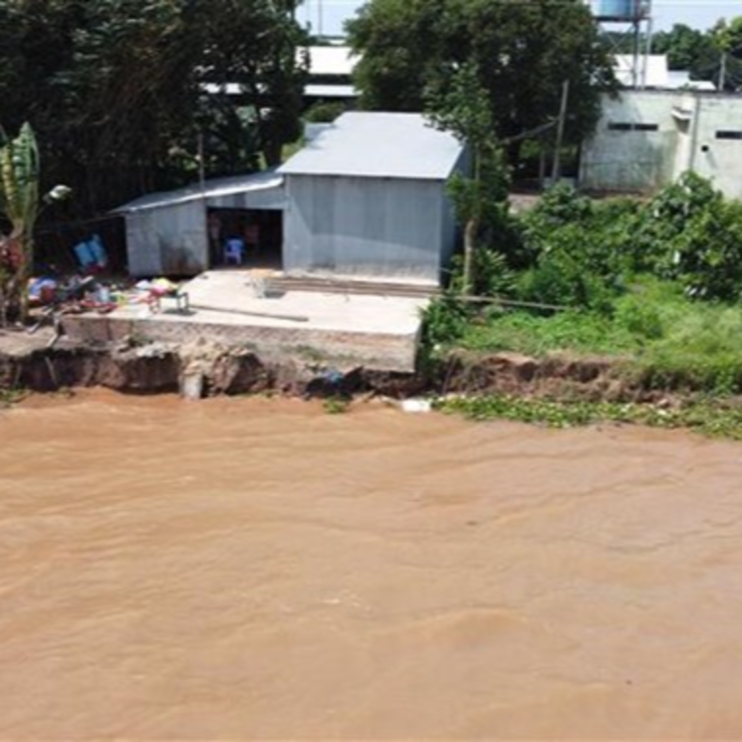 Thời sự 12h (6/11/2022)