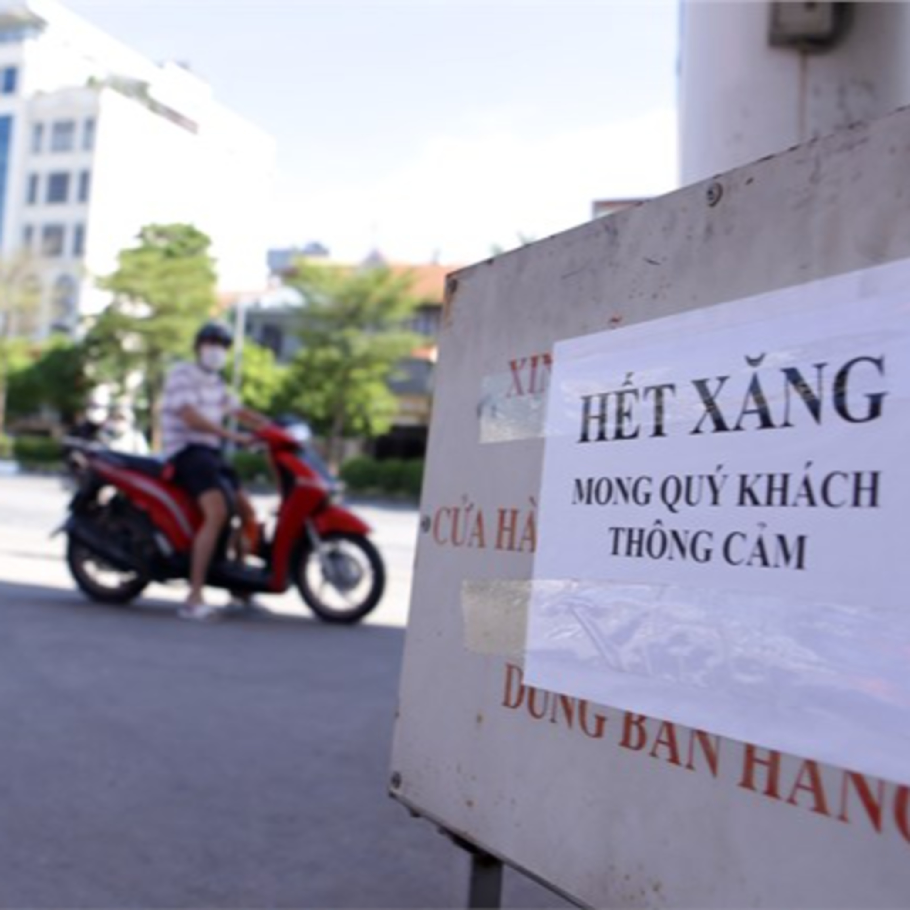 Thời sự 12h (12/11/2022)