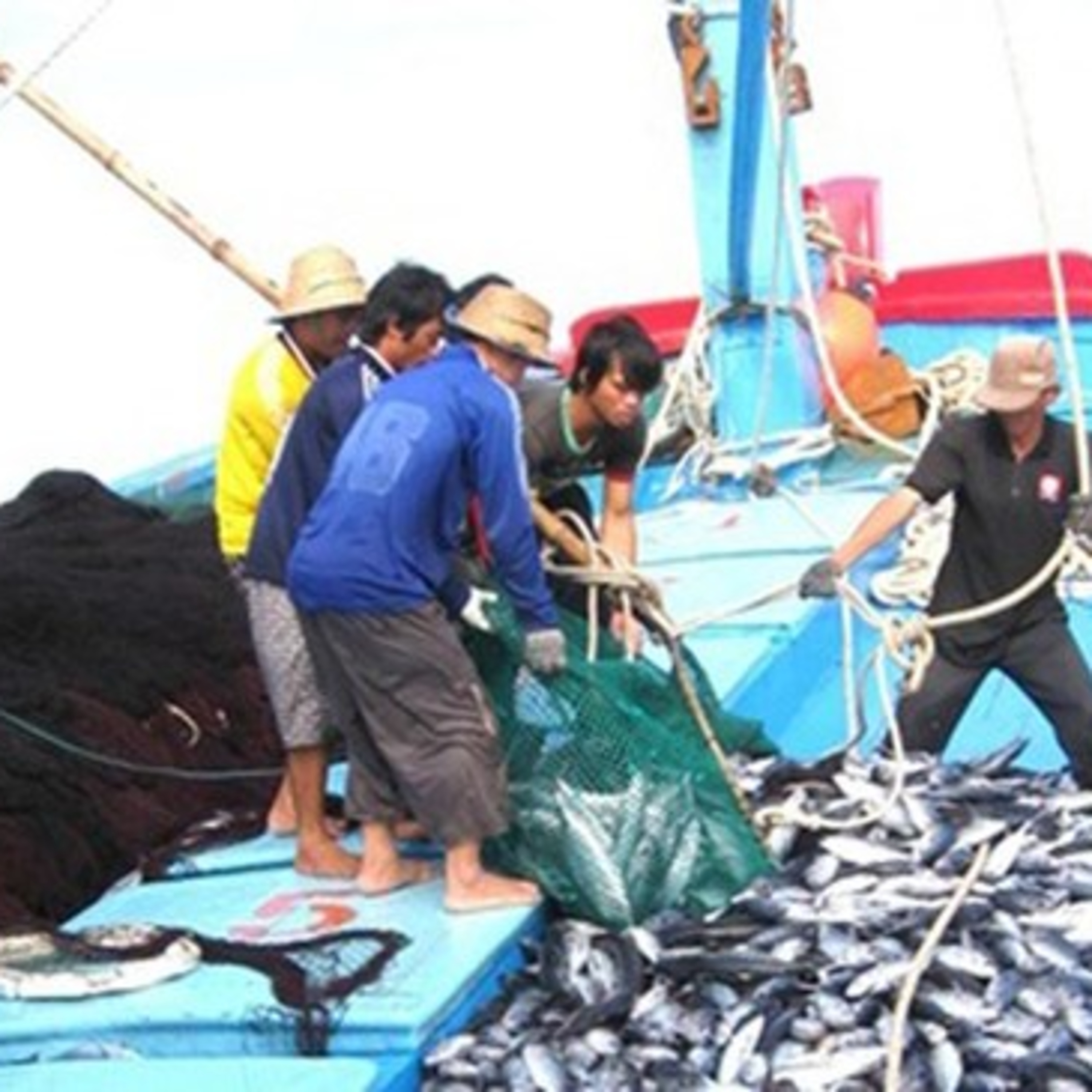 Thời sự 18h (1/12/2022)