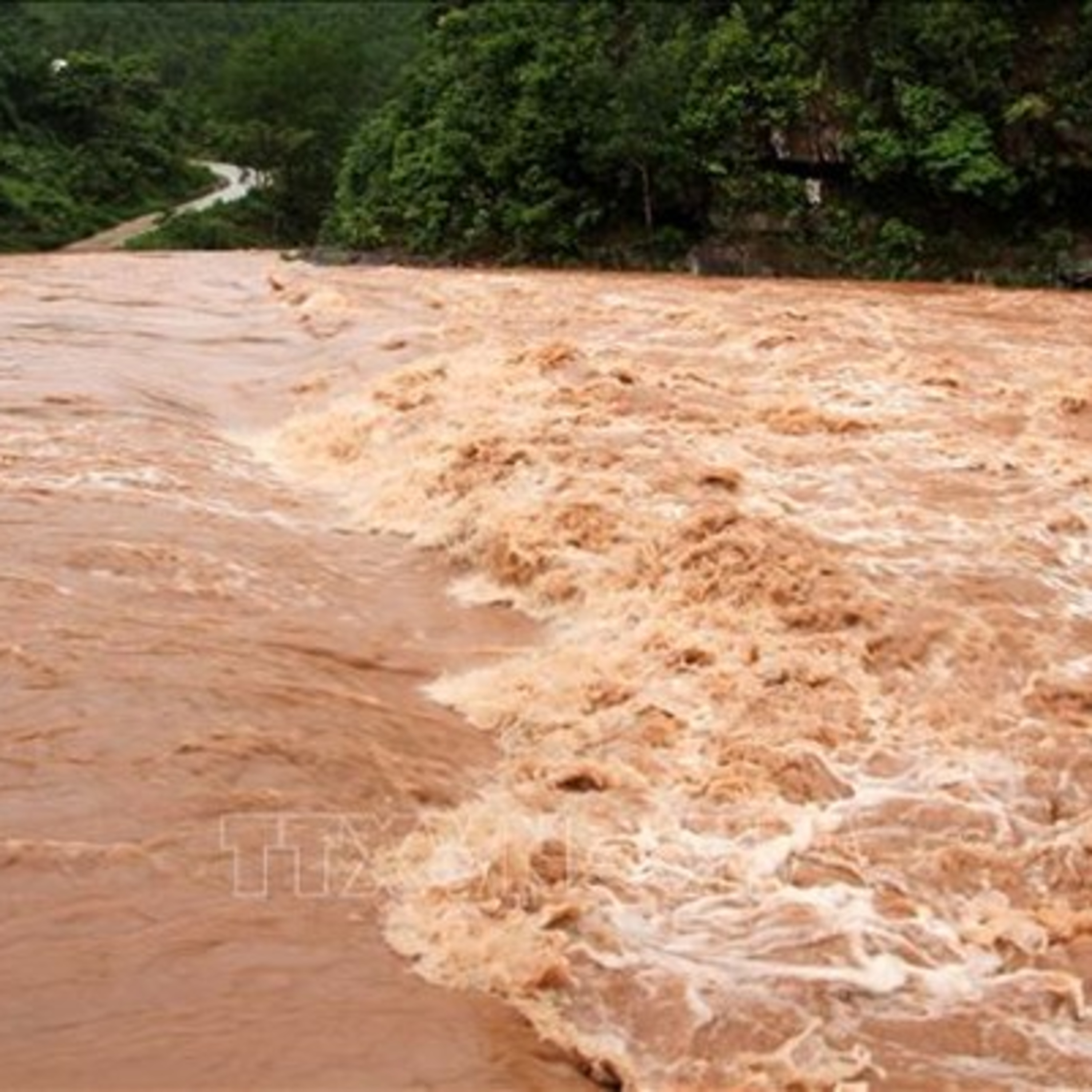 Thời sự 6h (3/12/2022)