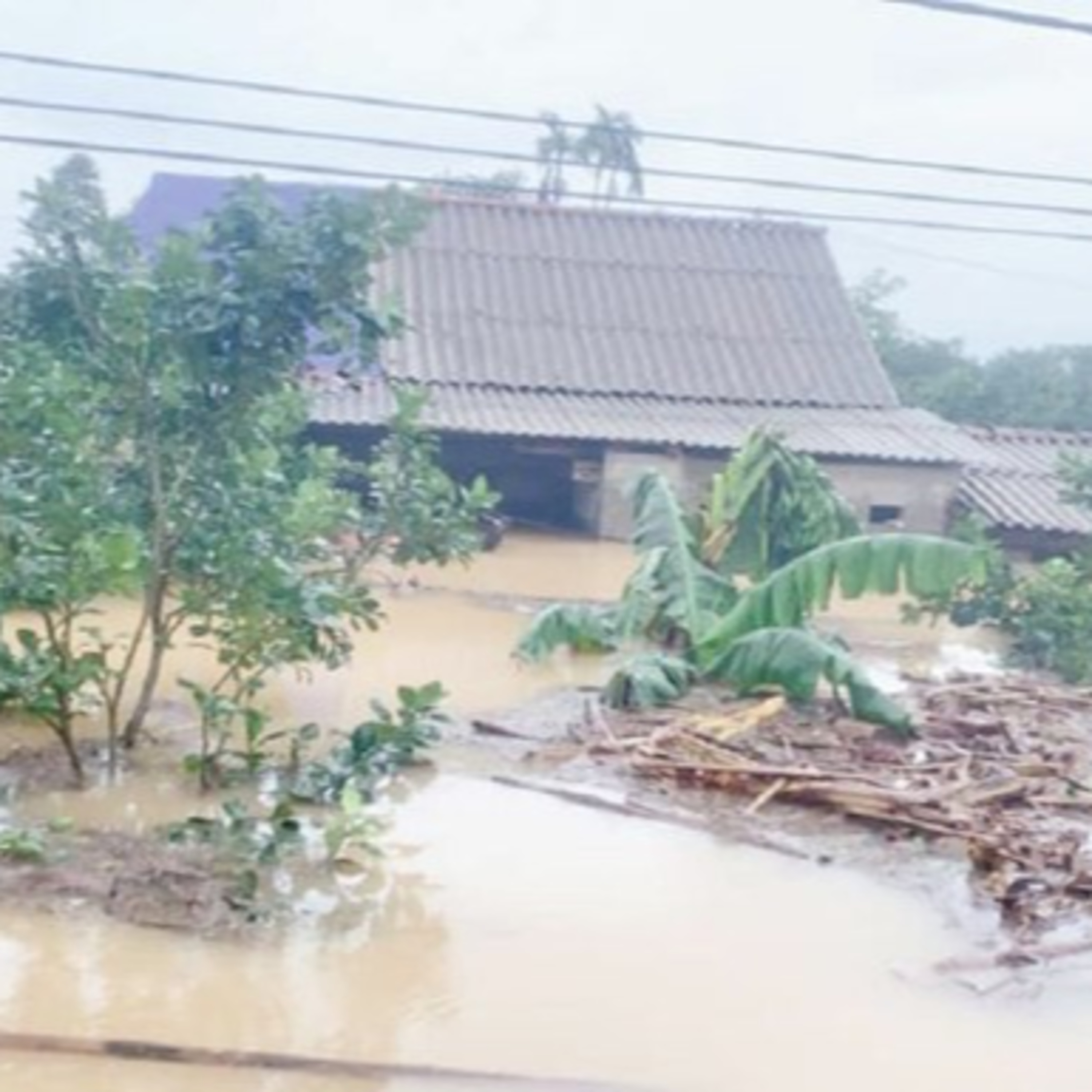 Thời sự 18h (5/12/2022)