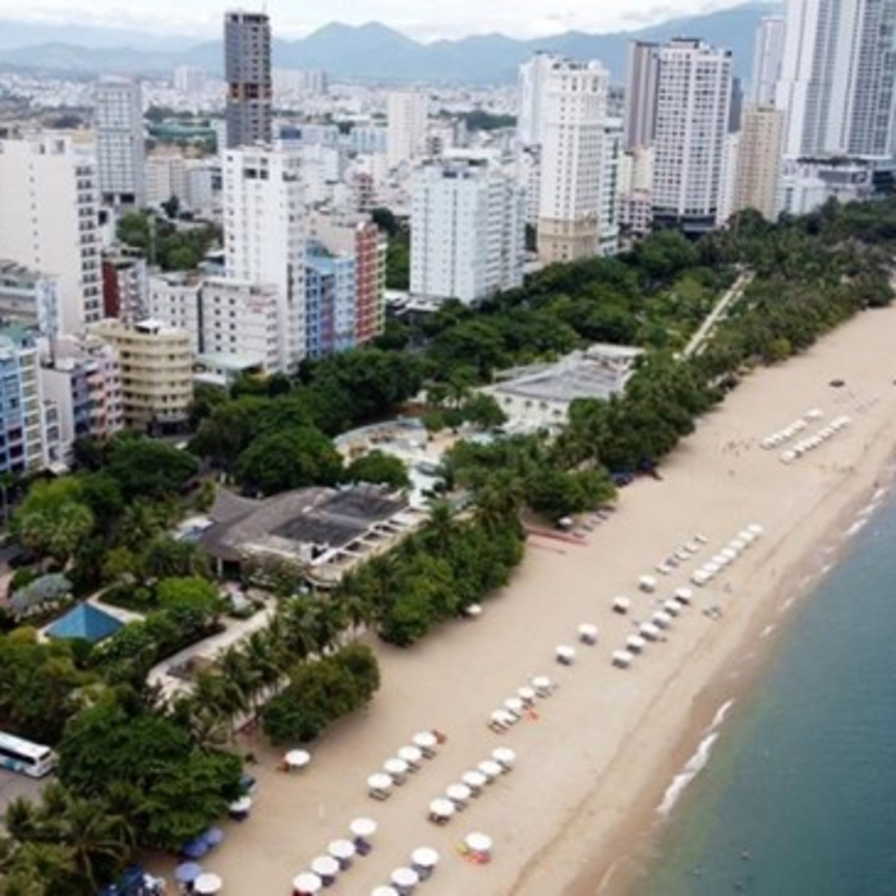 Thời sự 6h (11/12/2022)