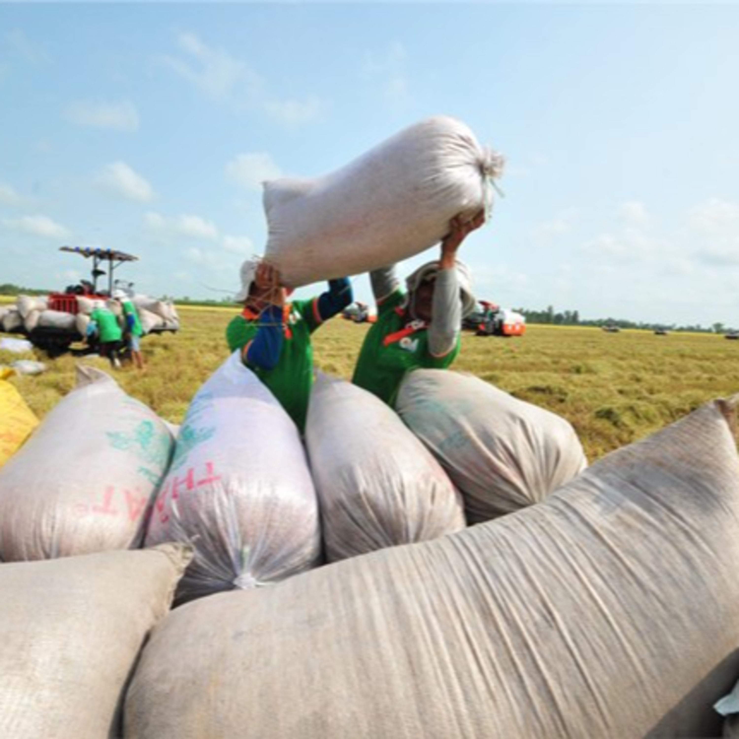 Thời sự 6h (12/12/2022)