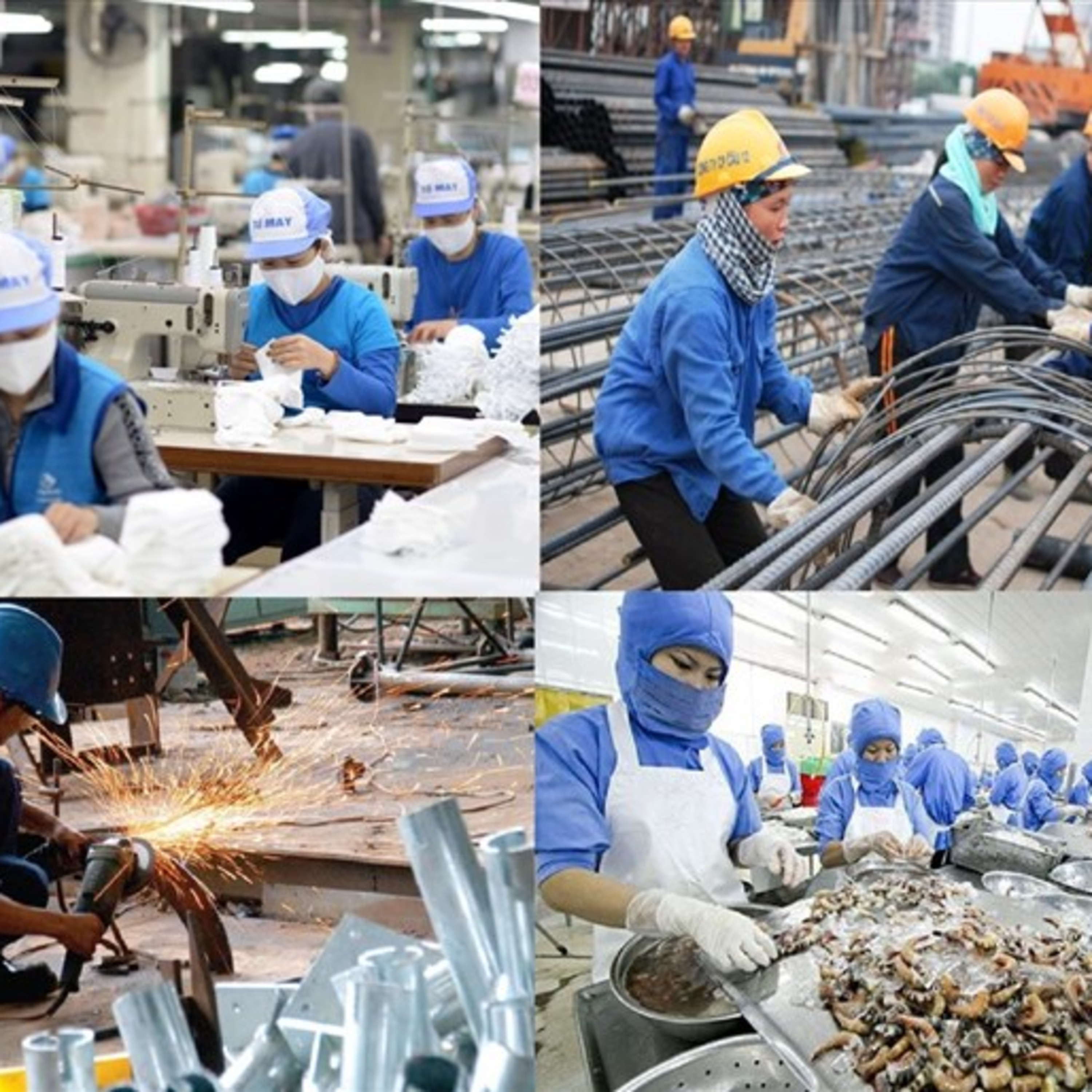 Thời sự 6h (17/12/2022)