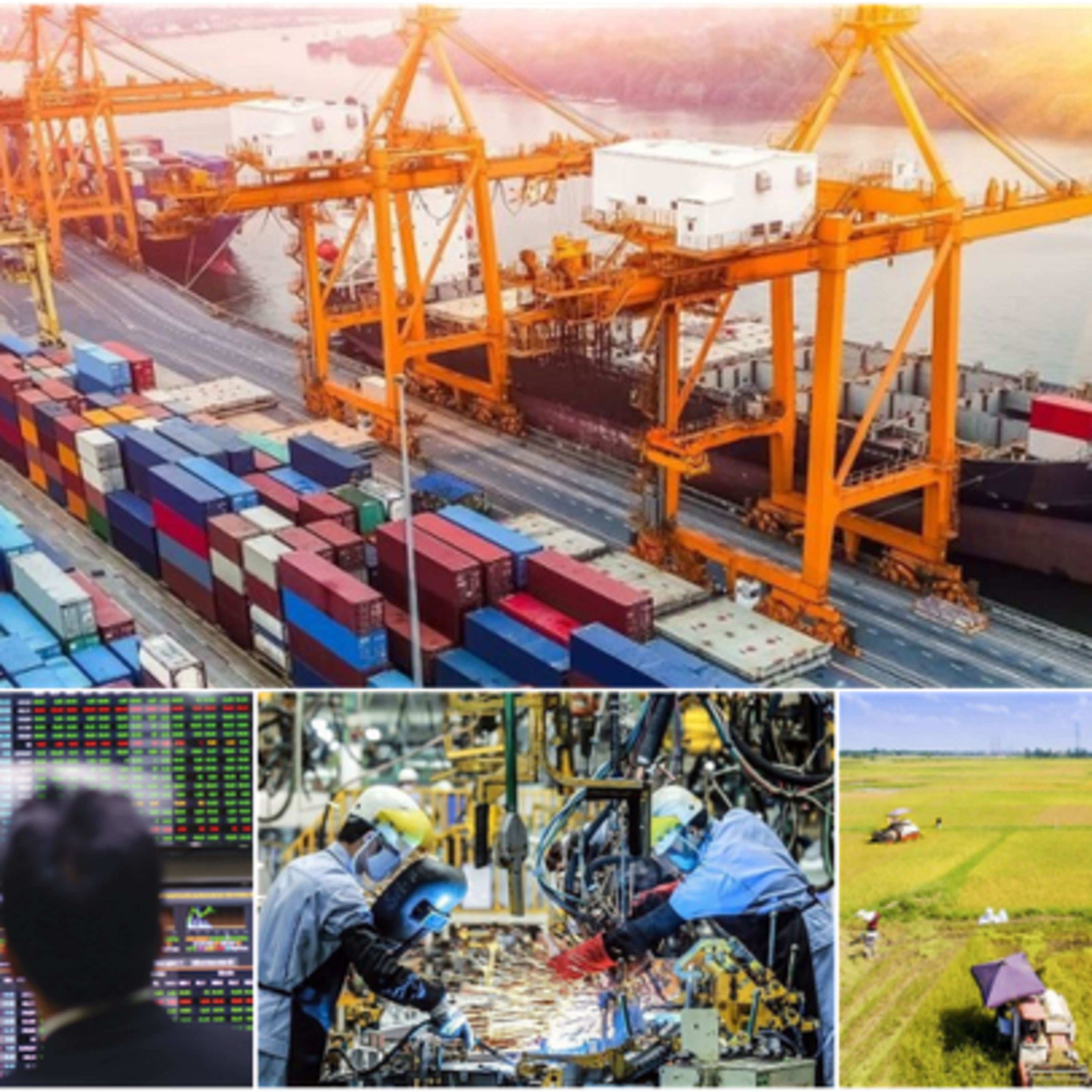Thời sự 12h (29/12/2022)