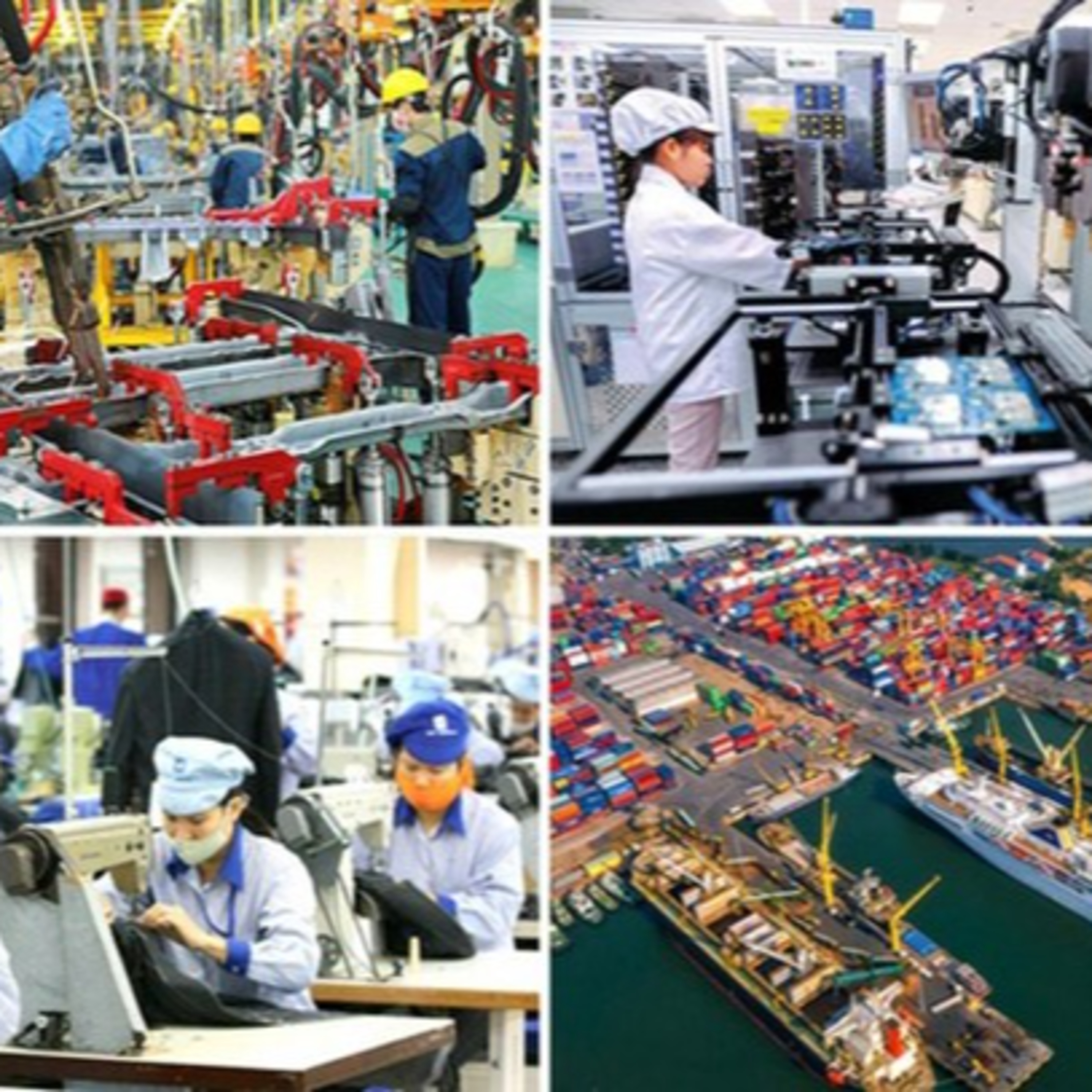 Thời sự 6h (30/12/2022)
