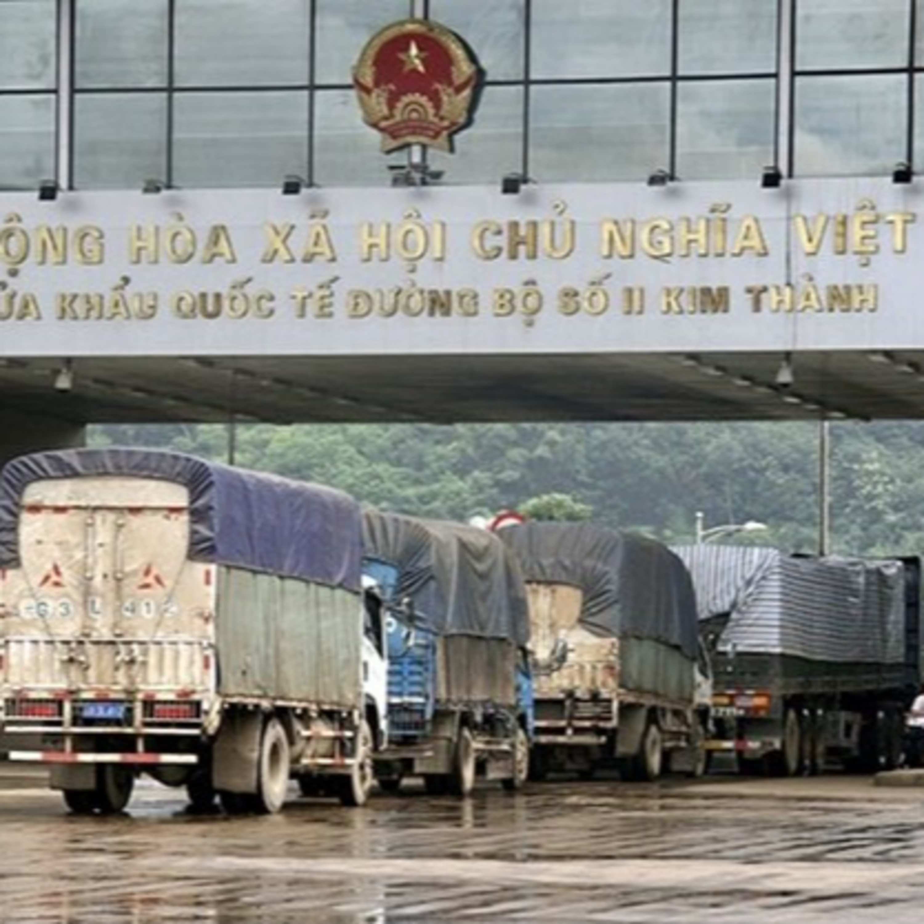 Thời sự 6h (2/1/2023)