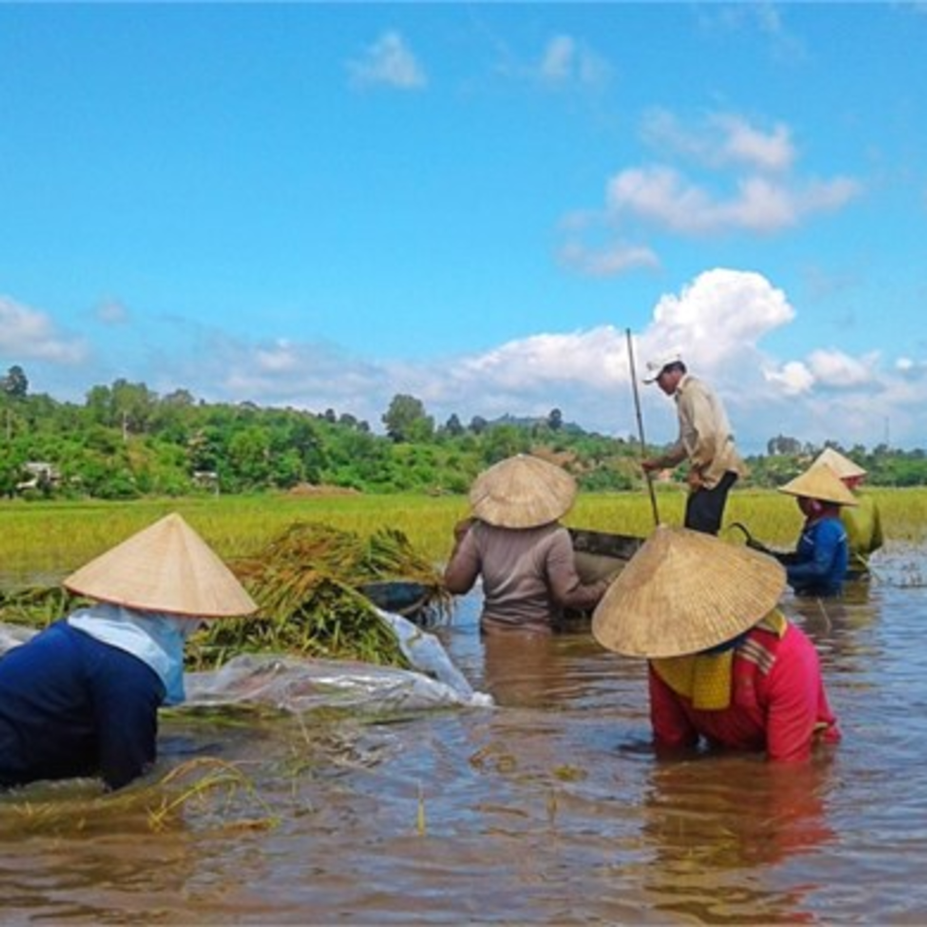 Thời sự 18h (7/1/2023)