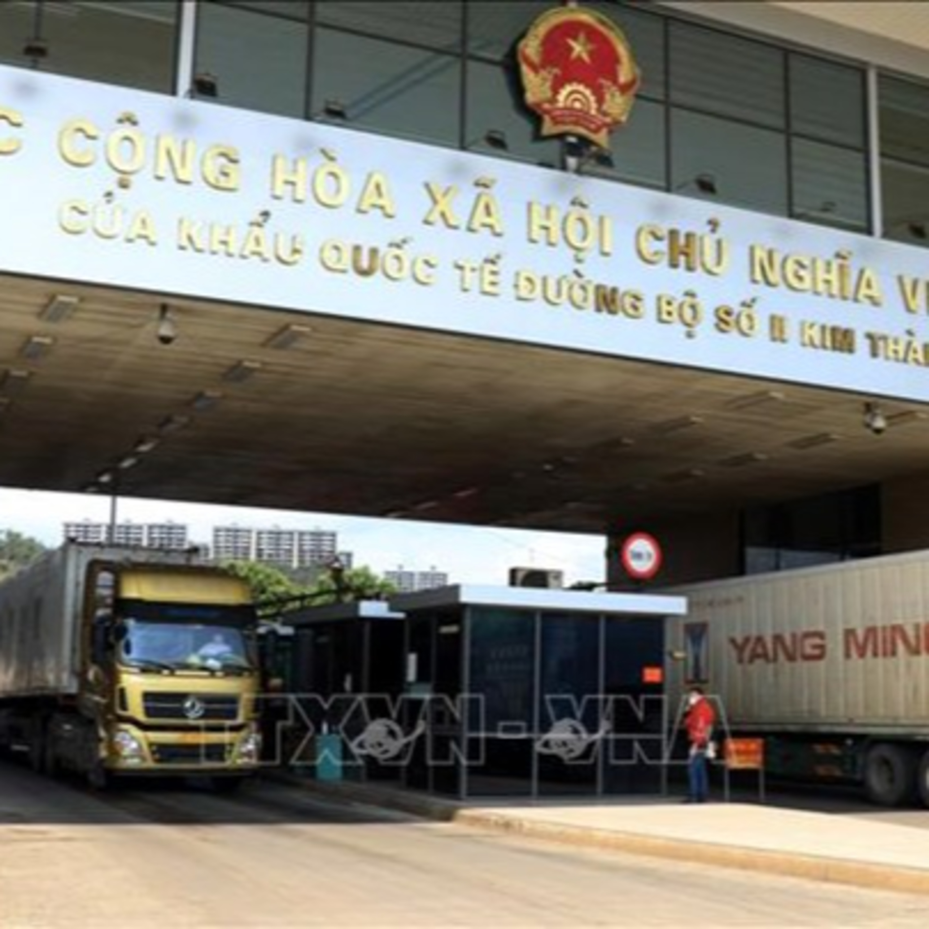 Thời sự 6h (8/1/2023)