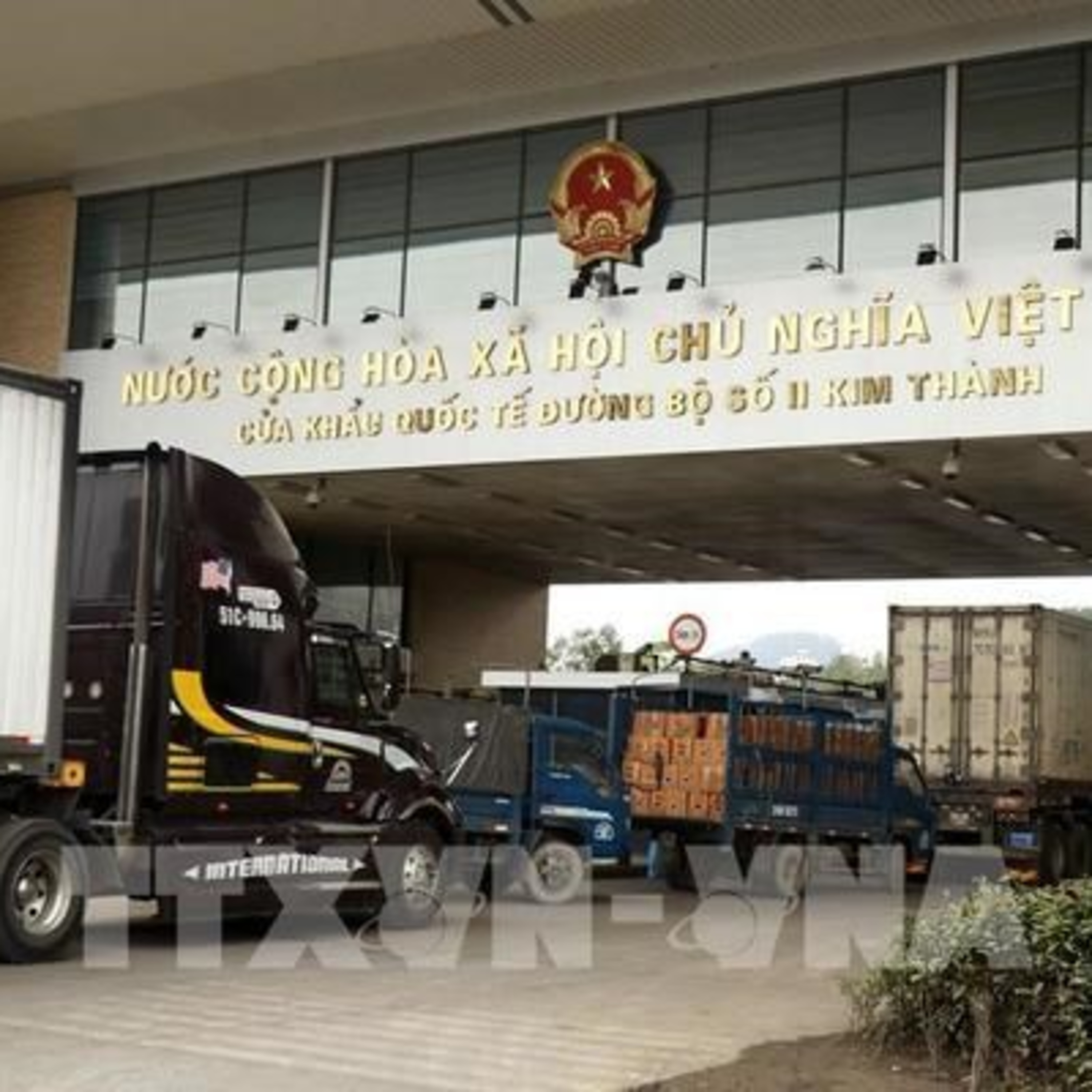 Thời sự 12h (8/1/2023)