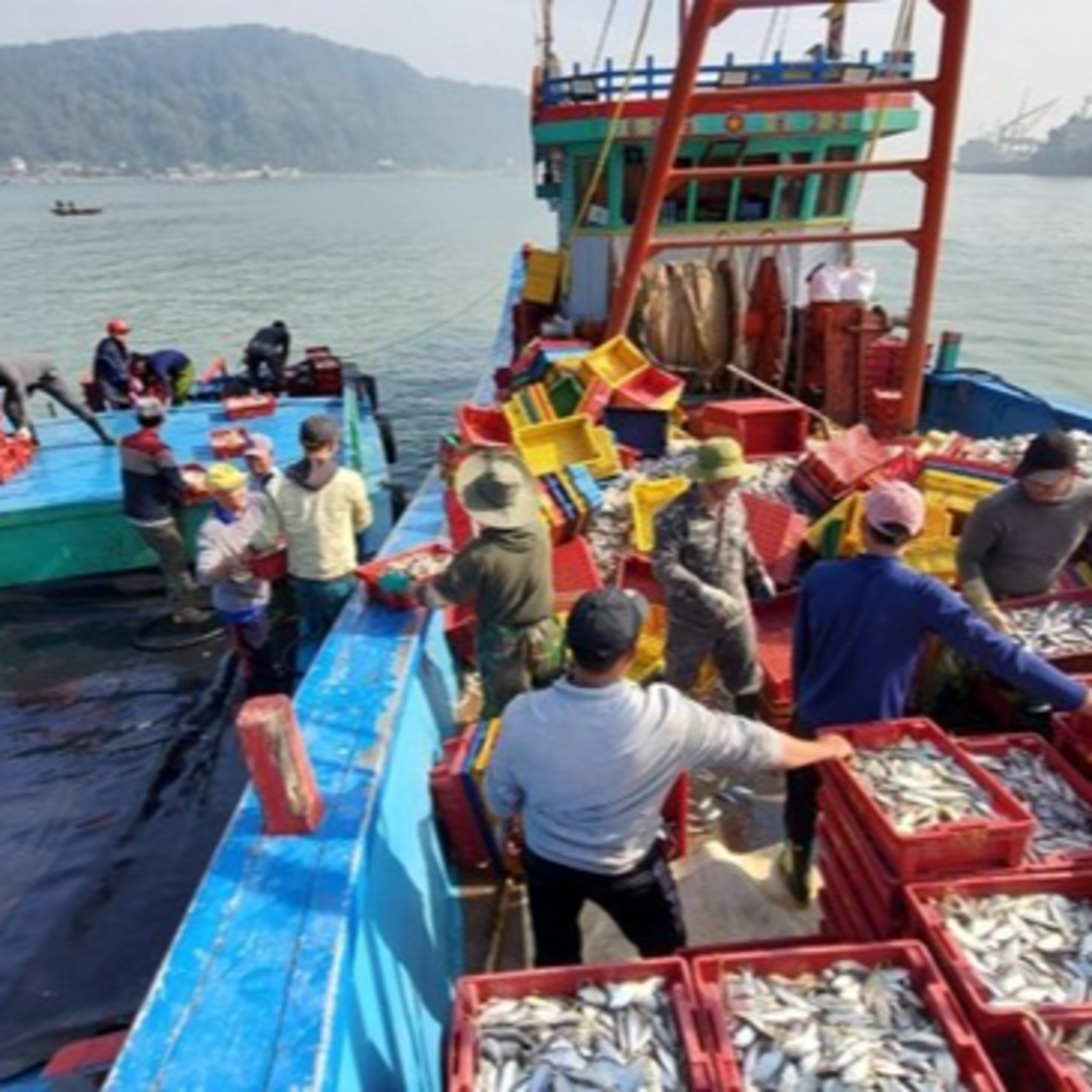 Thời sự 6h (26/1/2023)