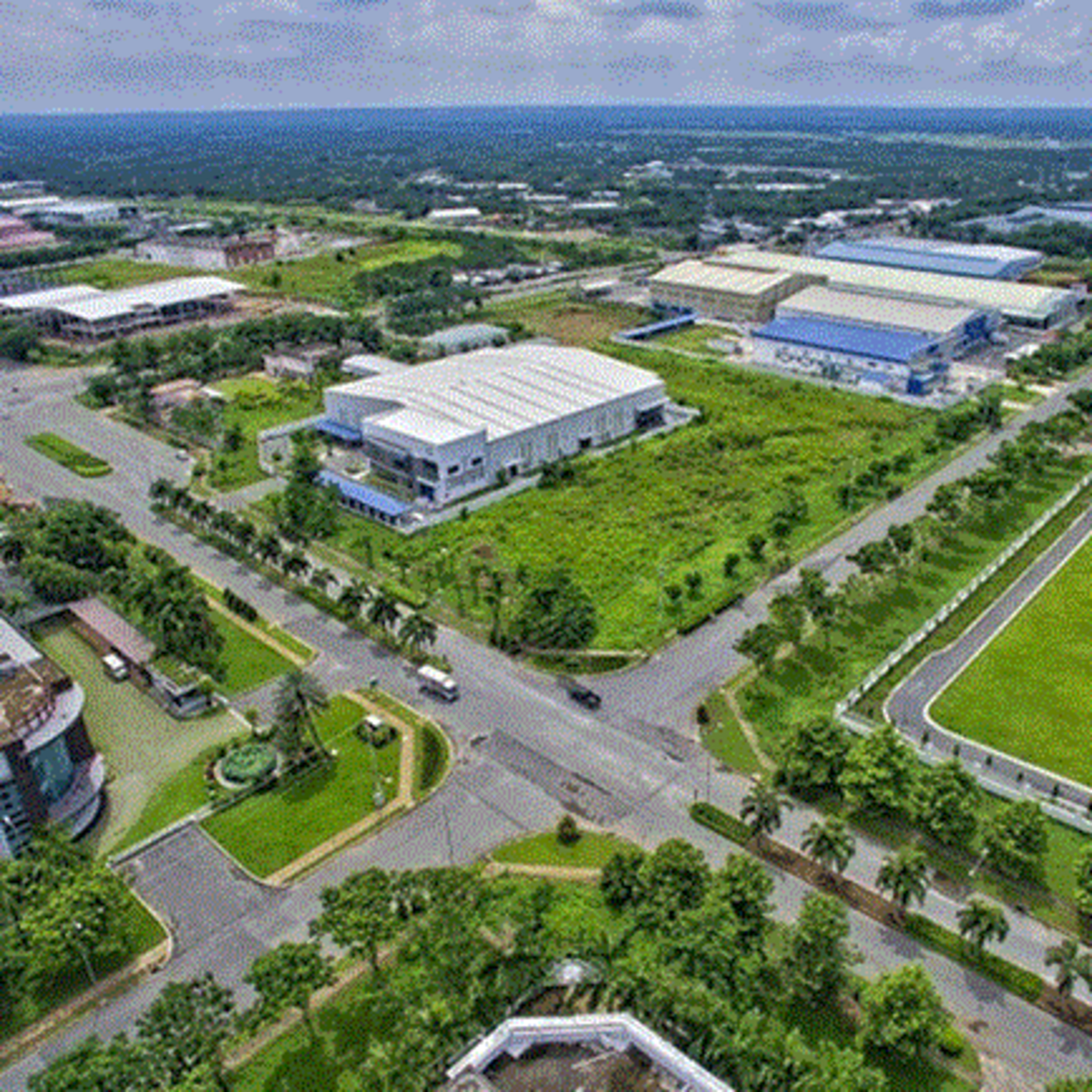 Thời sự 6h (31/1/2023)