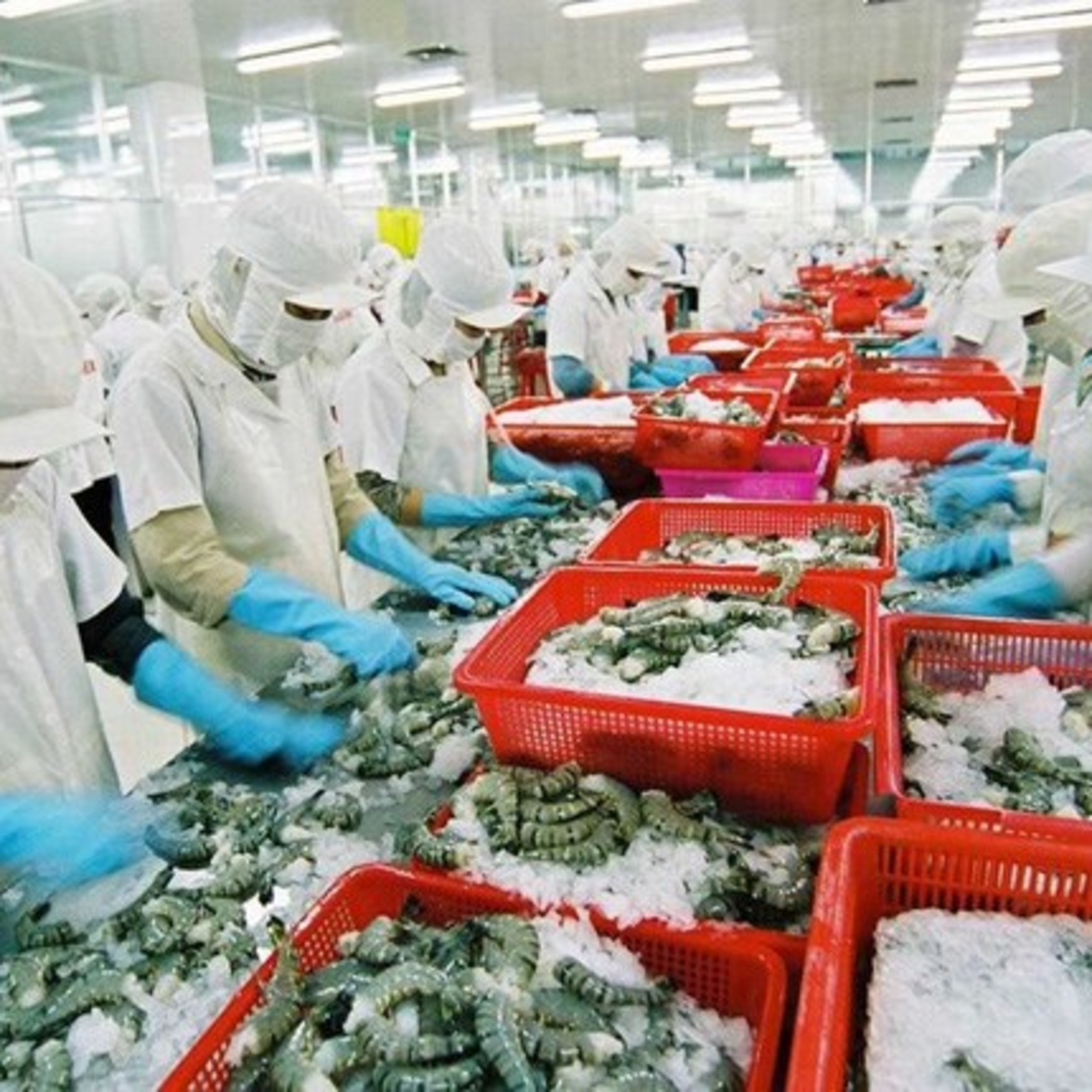 Thời sự 18h (4/2/2023)
