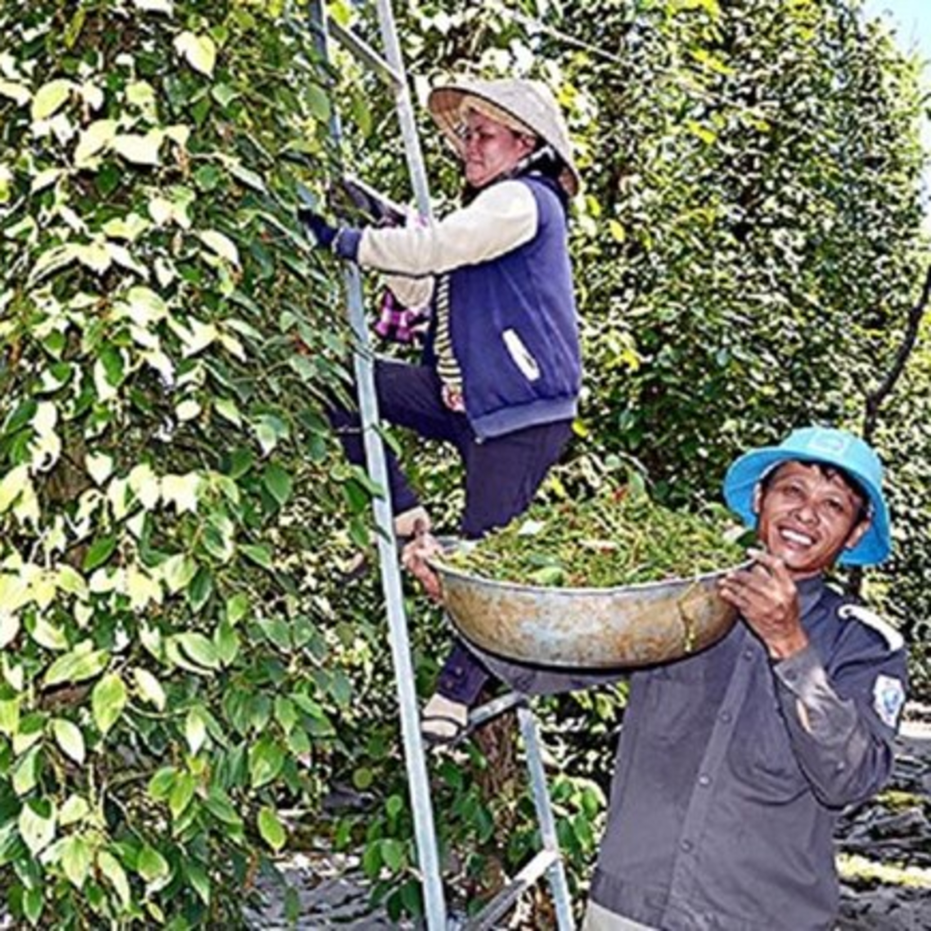 Thời sự 6h (6/3/2023)