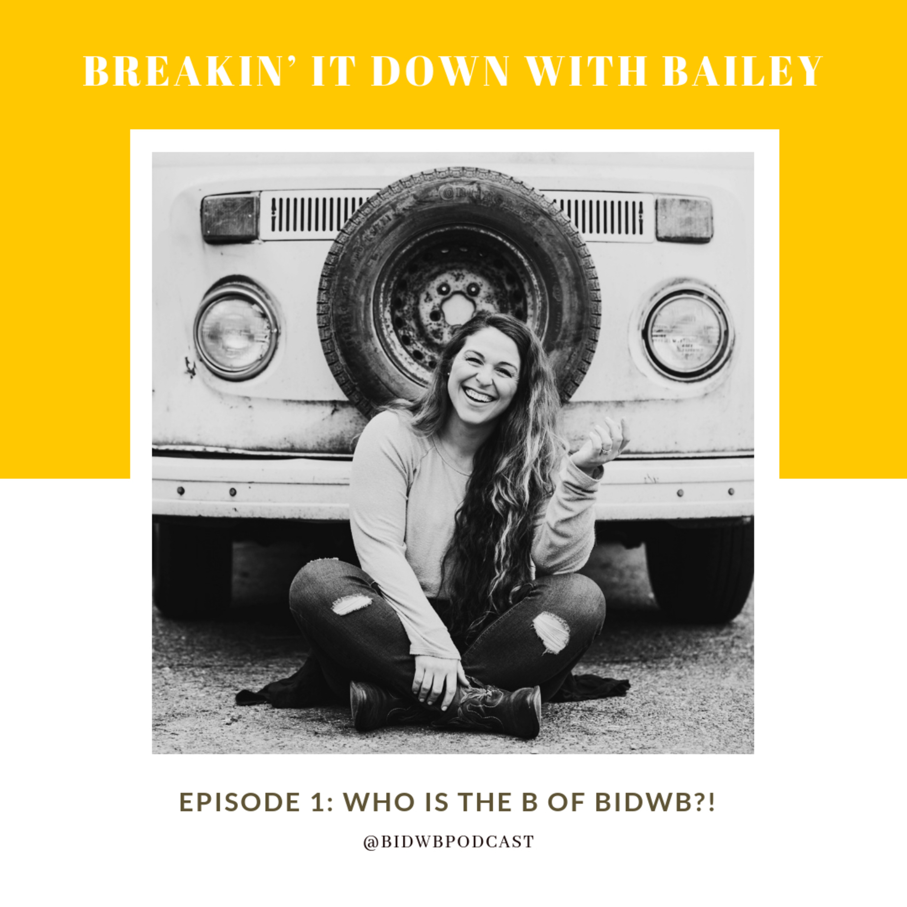 Breakin It Down With Bailey