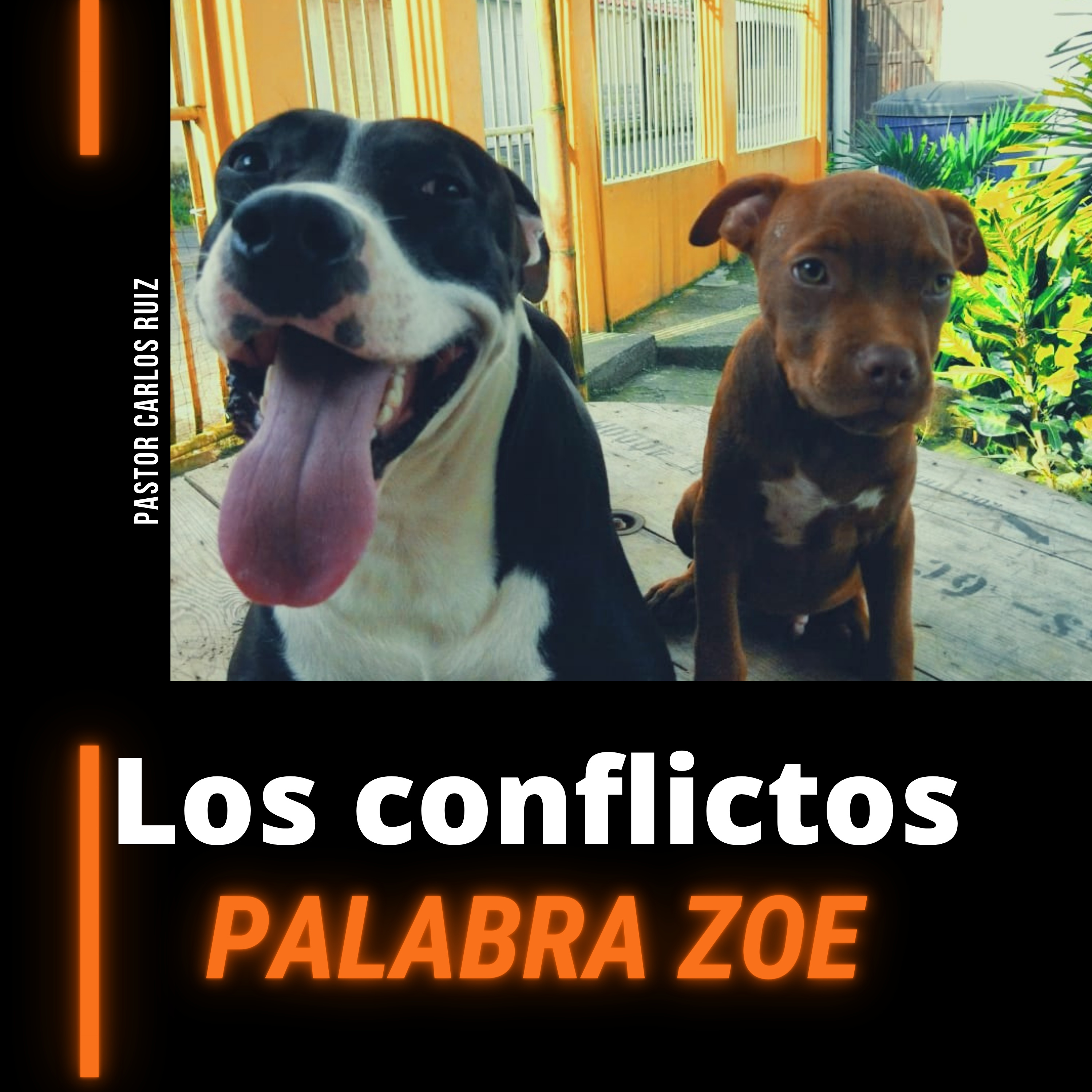 PALABRA ZOE PALABRA DE VIDA