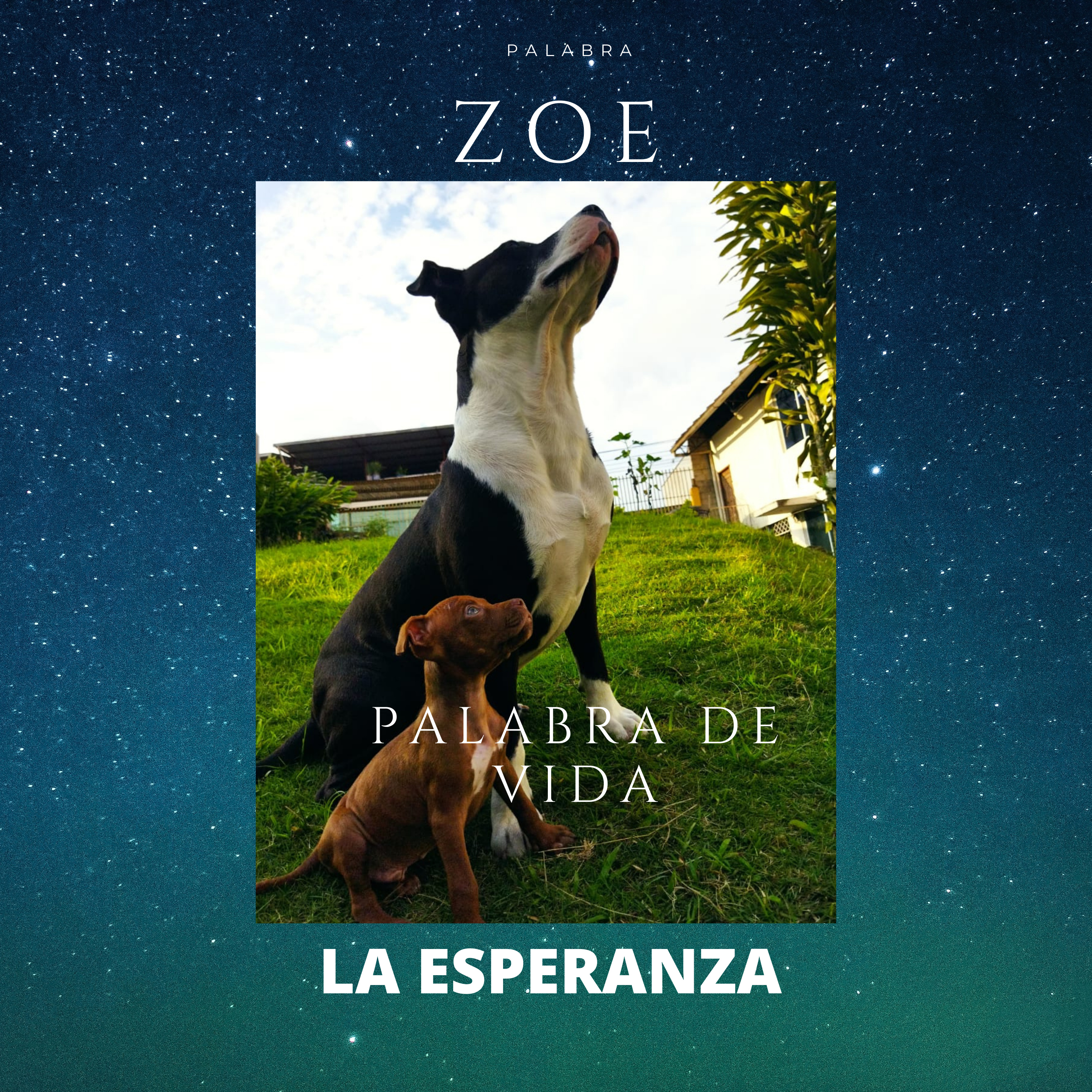 PALABRA ZOE PALABRA DE VIDA