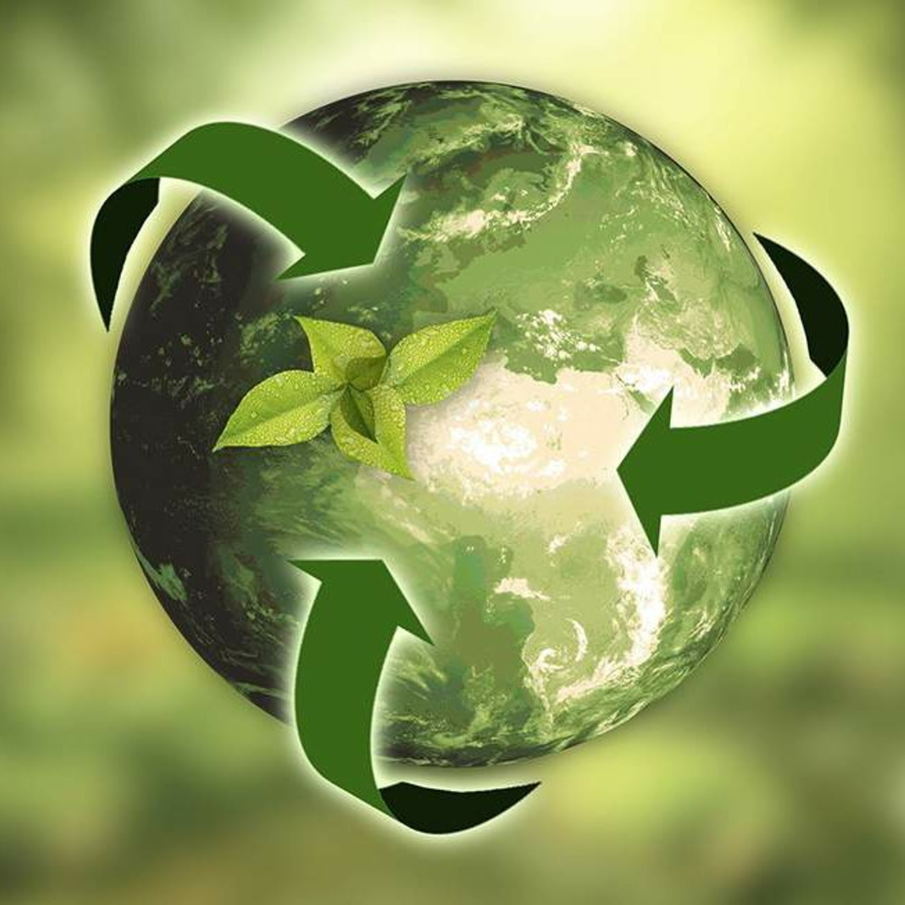 Concepto de Ecología 