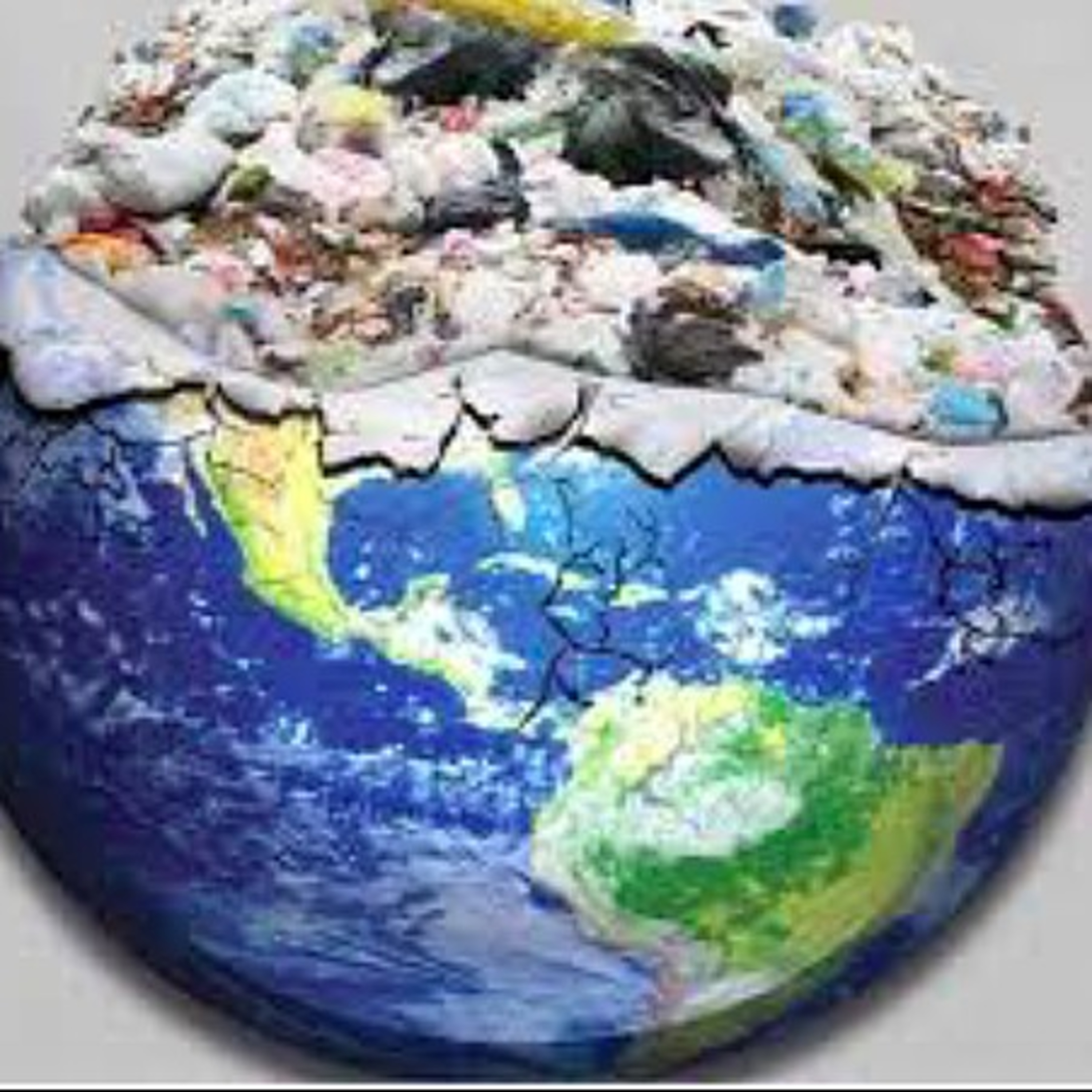 Ecología y Gestión Ambiental