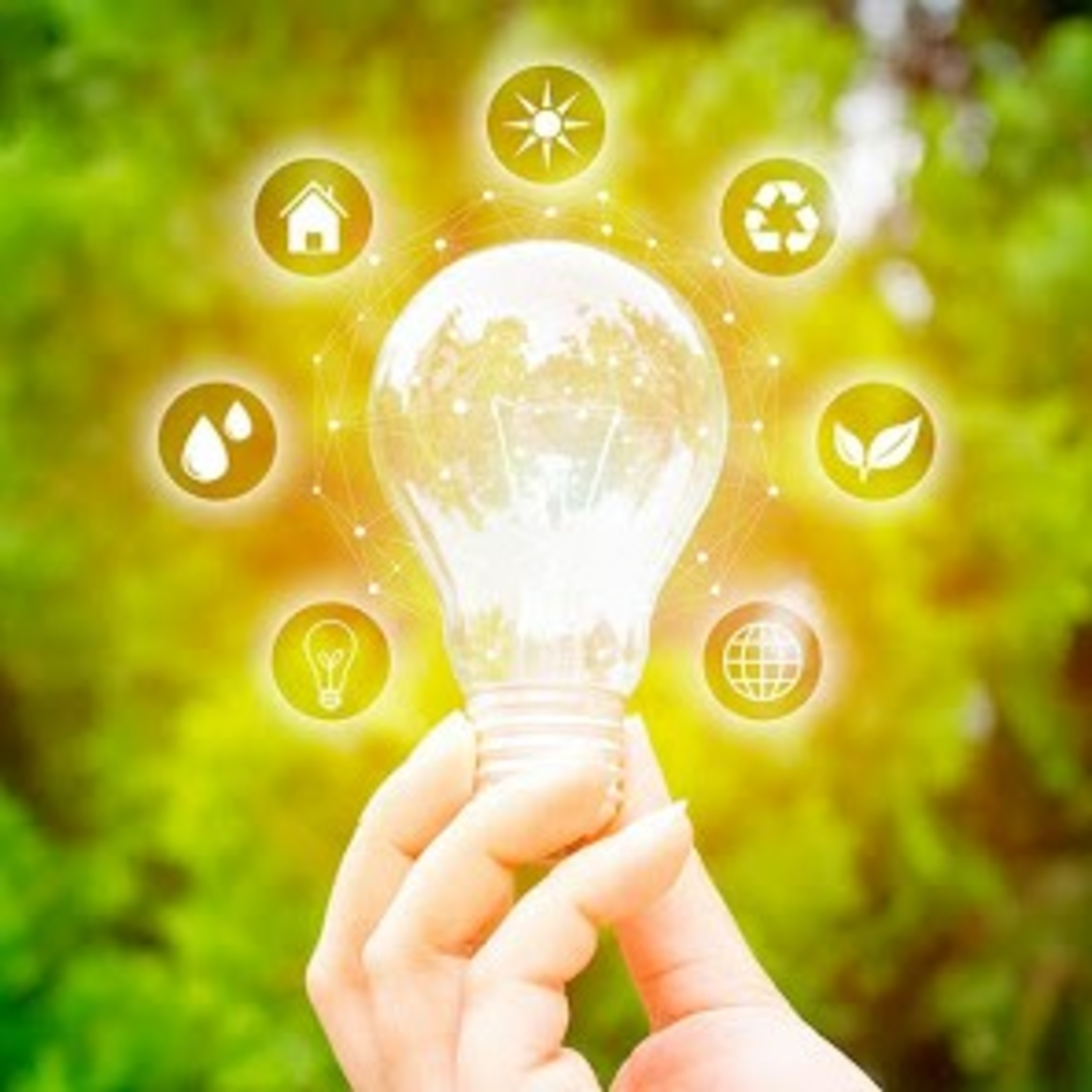 Modelos Económicos para la Gestión Ambiental