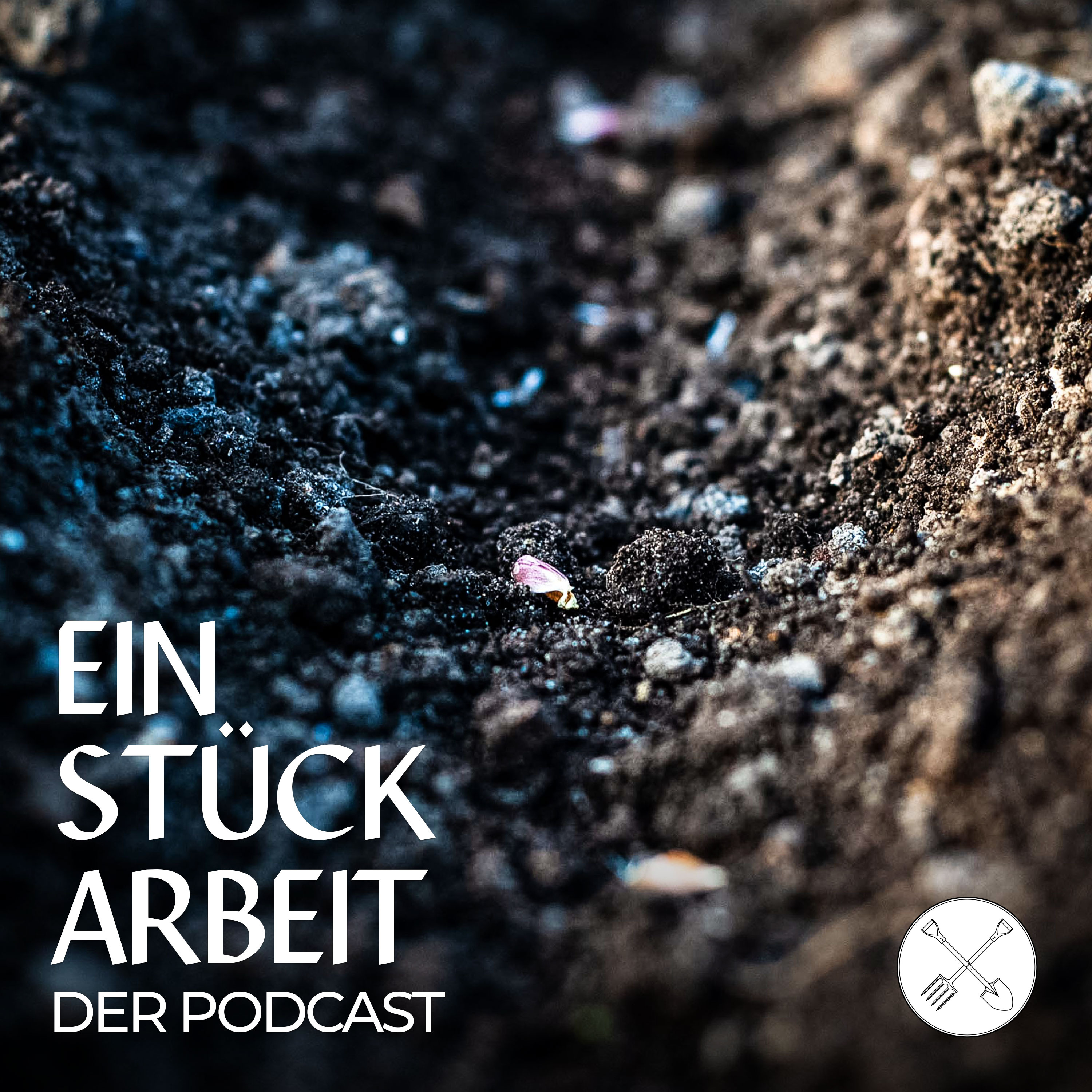 🌱So plant ihr eure Aussaat – sieben Tipps! episode artwork