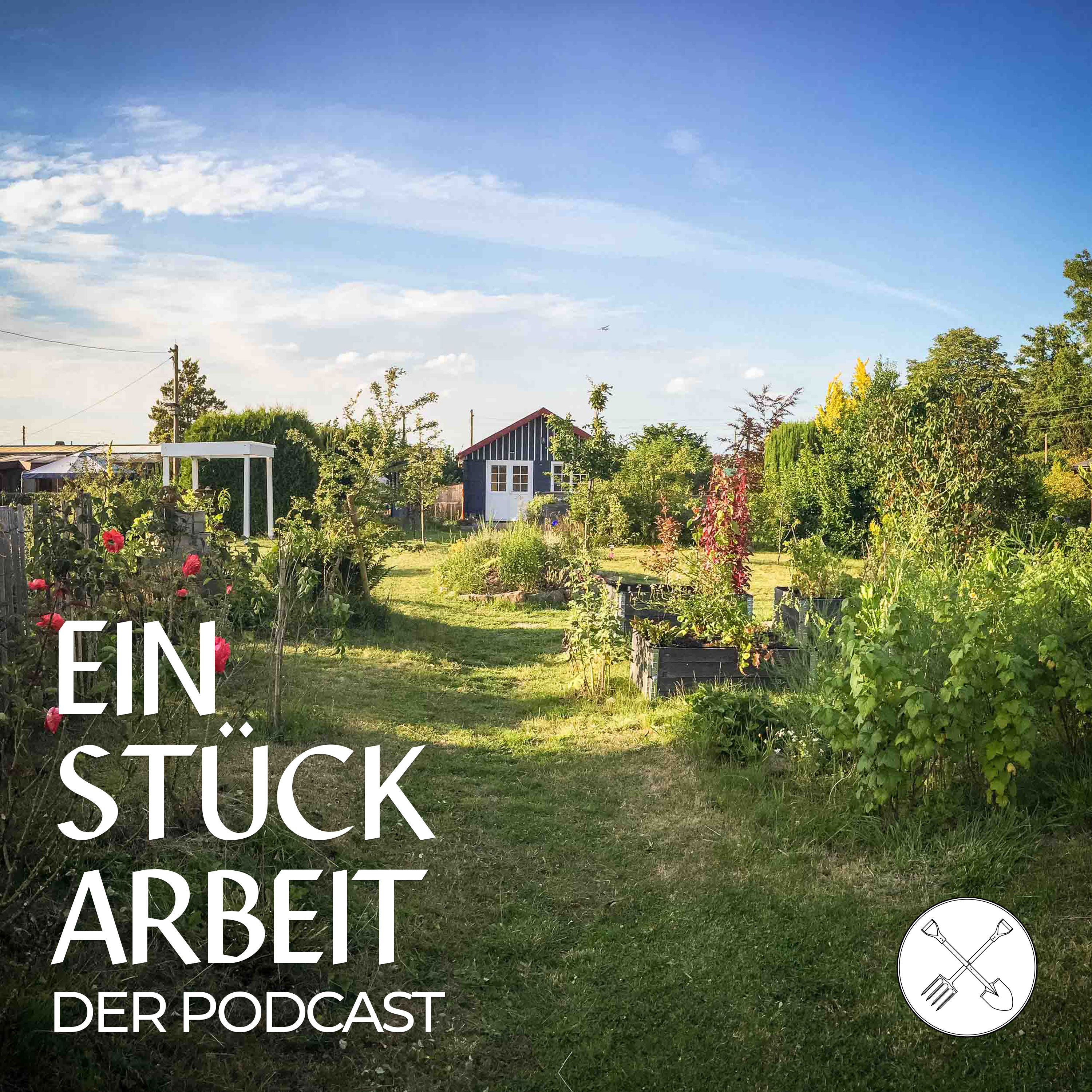 33 Fragen an ... uns selbst!  episode artwork