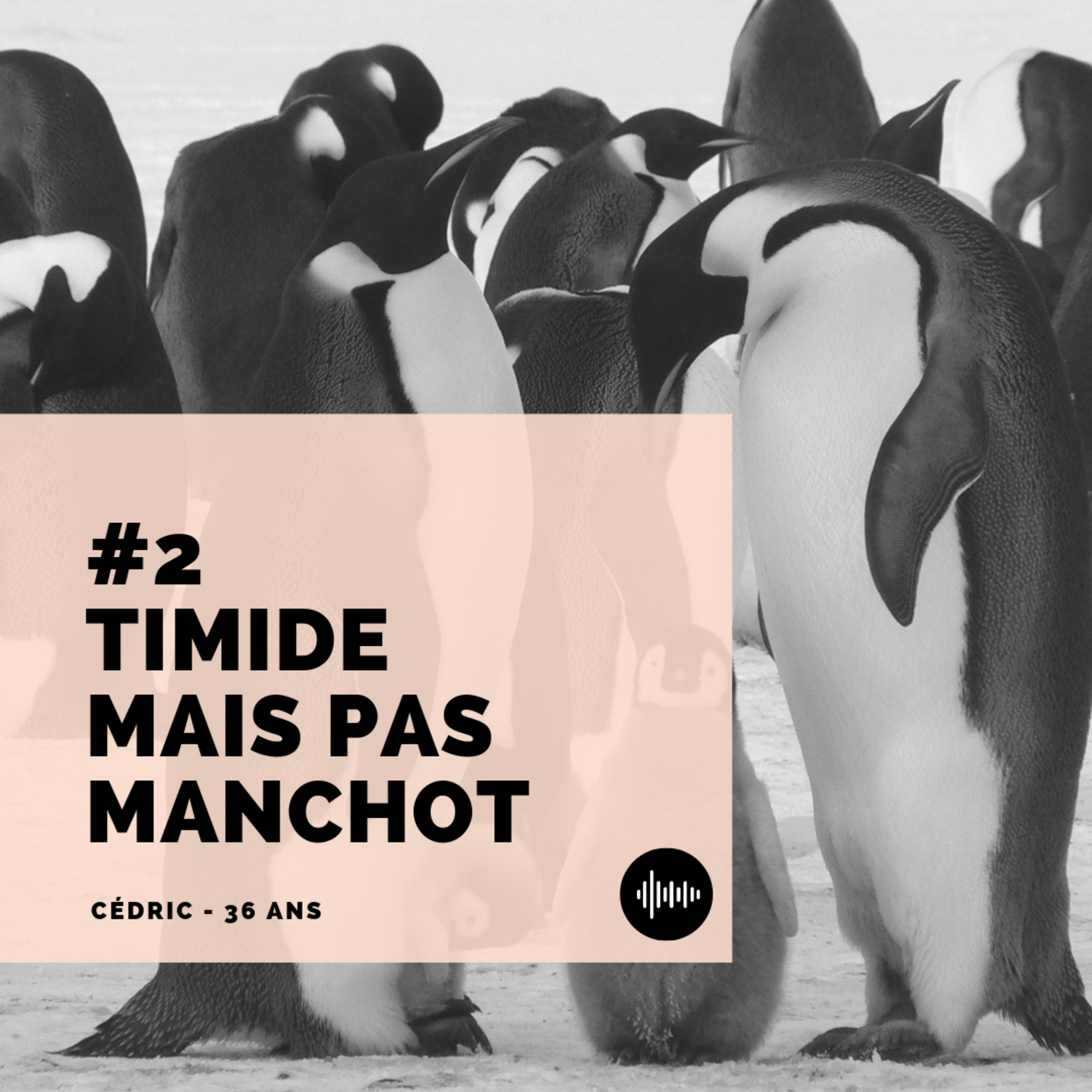 Episode 2 - Timide mais pas manchot