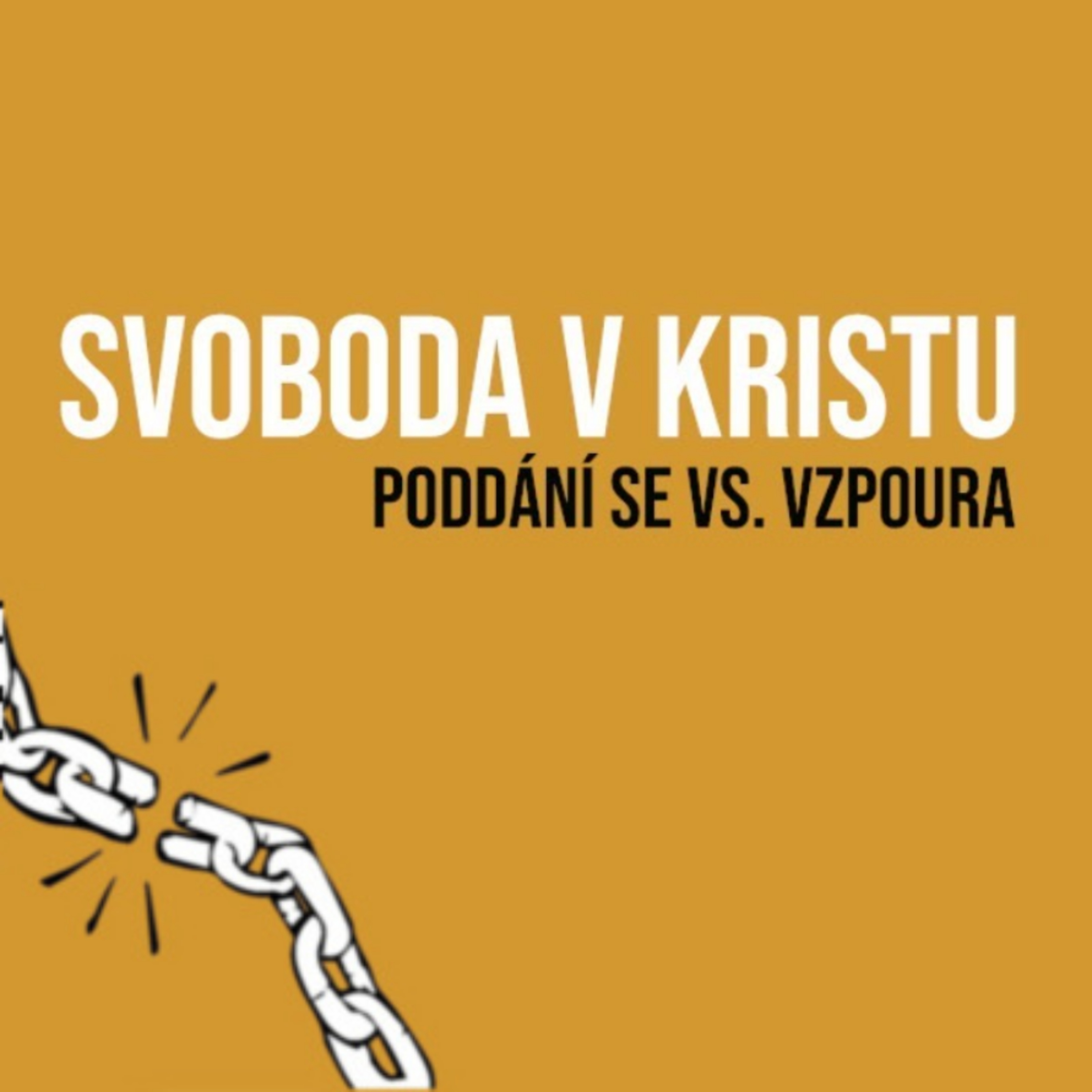 SVOBODA V KRISTU: Vzpoura vs. poddání se episode artwork