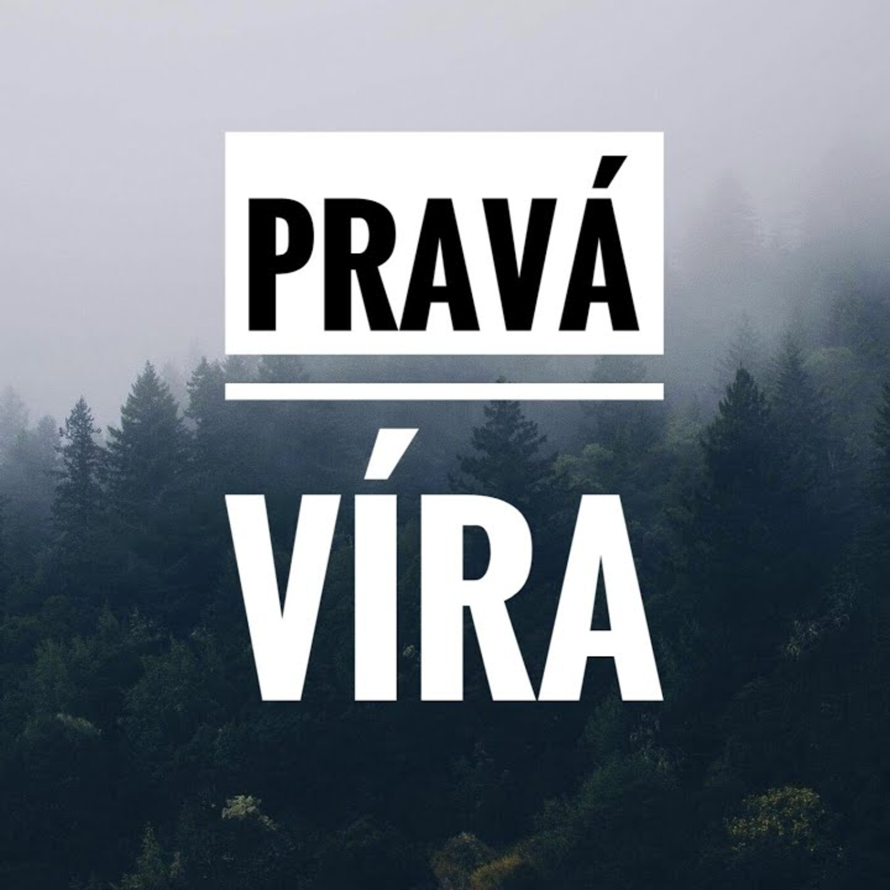 Ježíšova velká výzva: Je vaše víra pravá? episode artwork