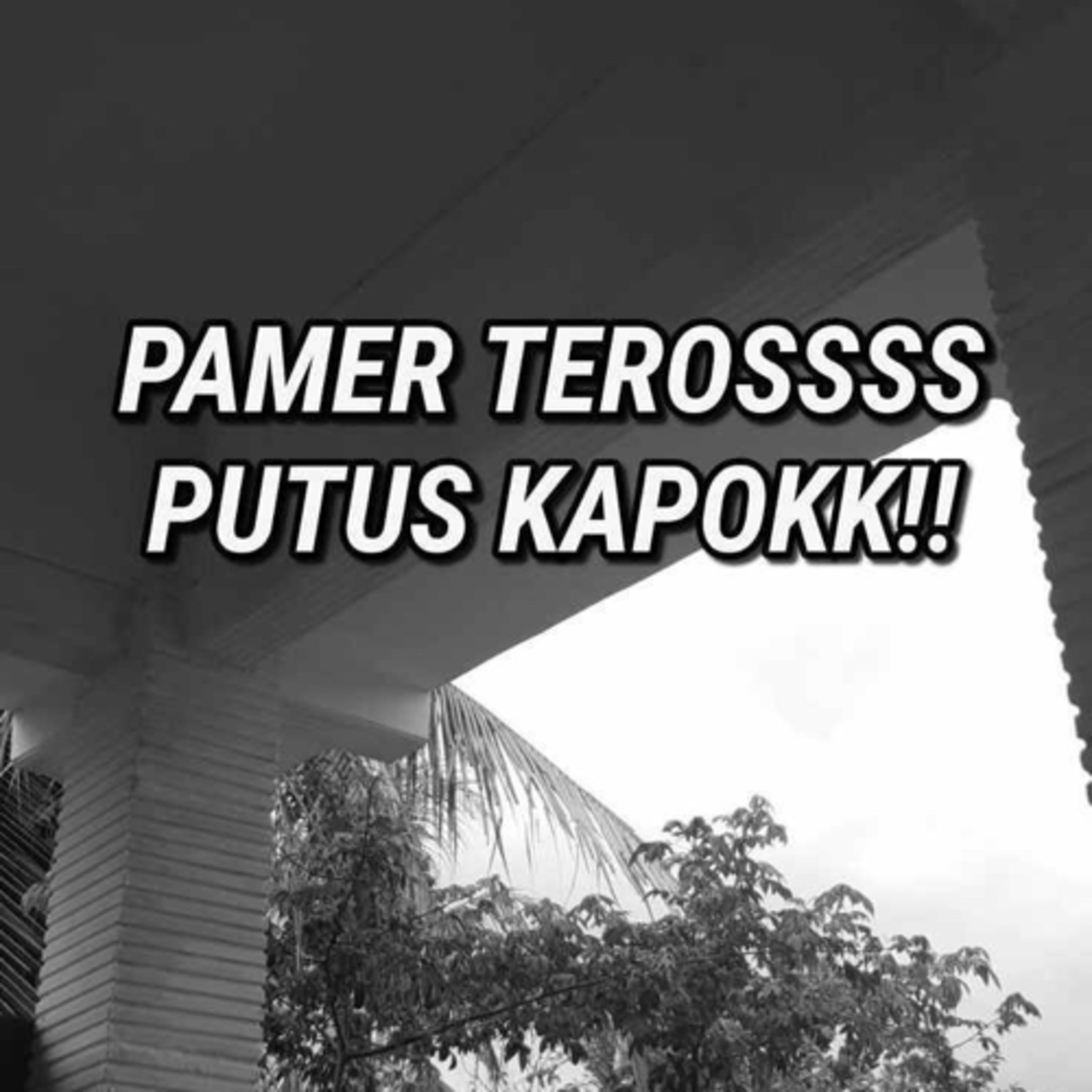 Pamer episode artwork