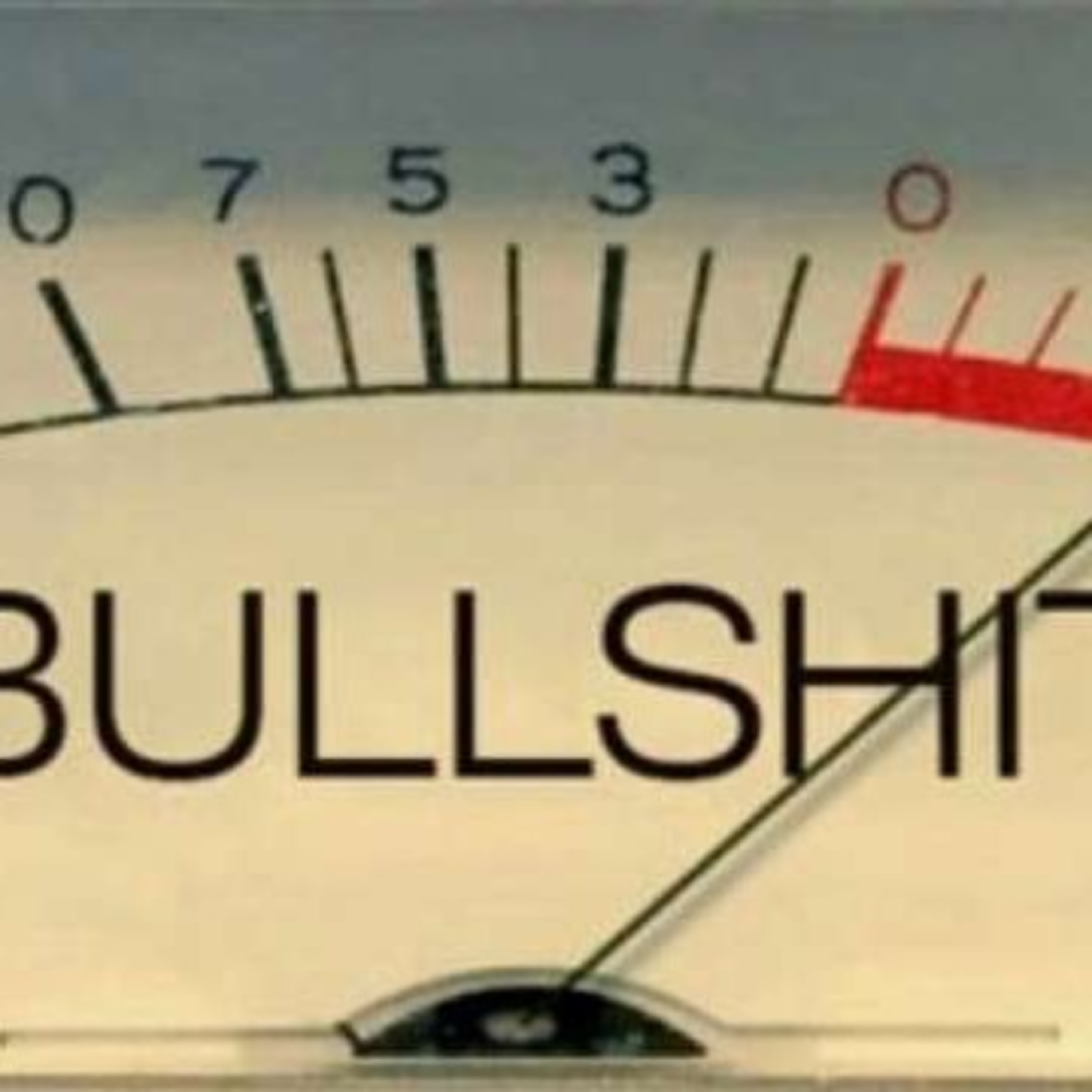 I CALL BULLSHIT - expressing feelings on todays world topics.