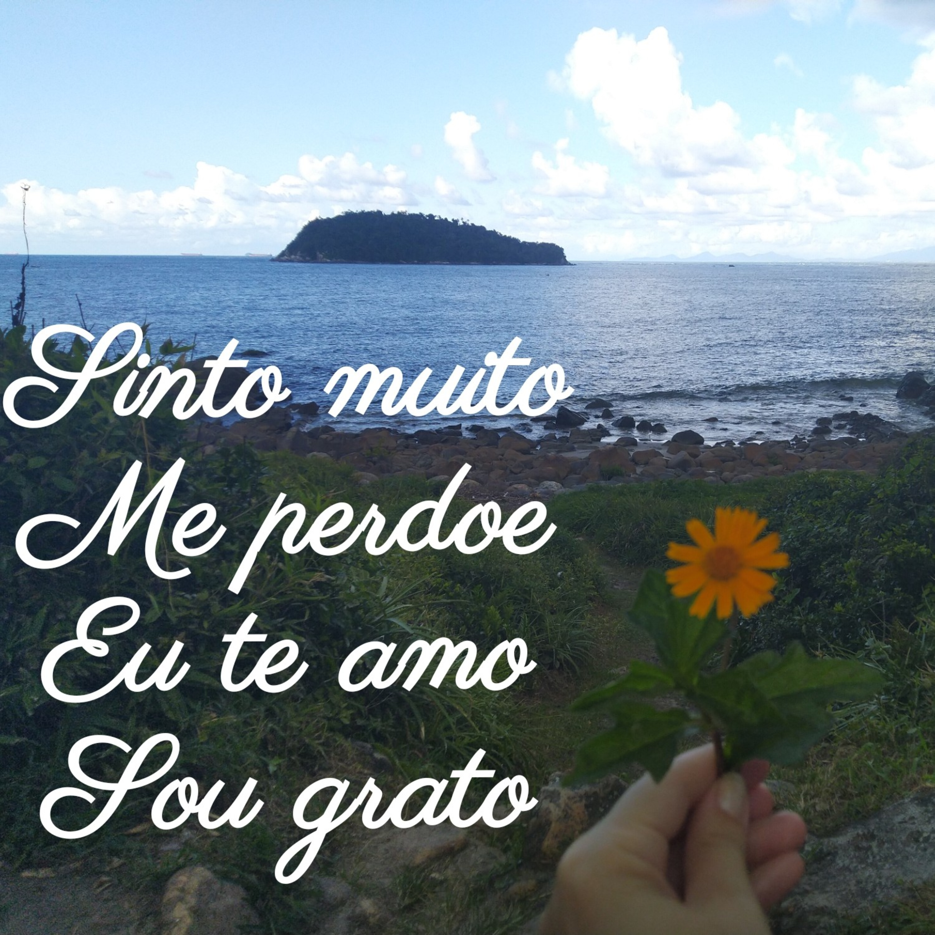 Meditação episode artwork
