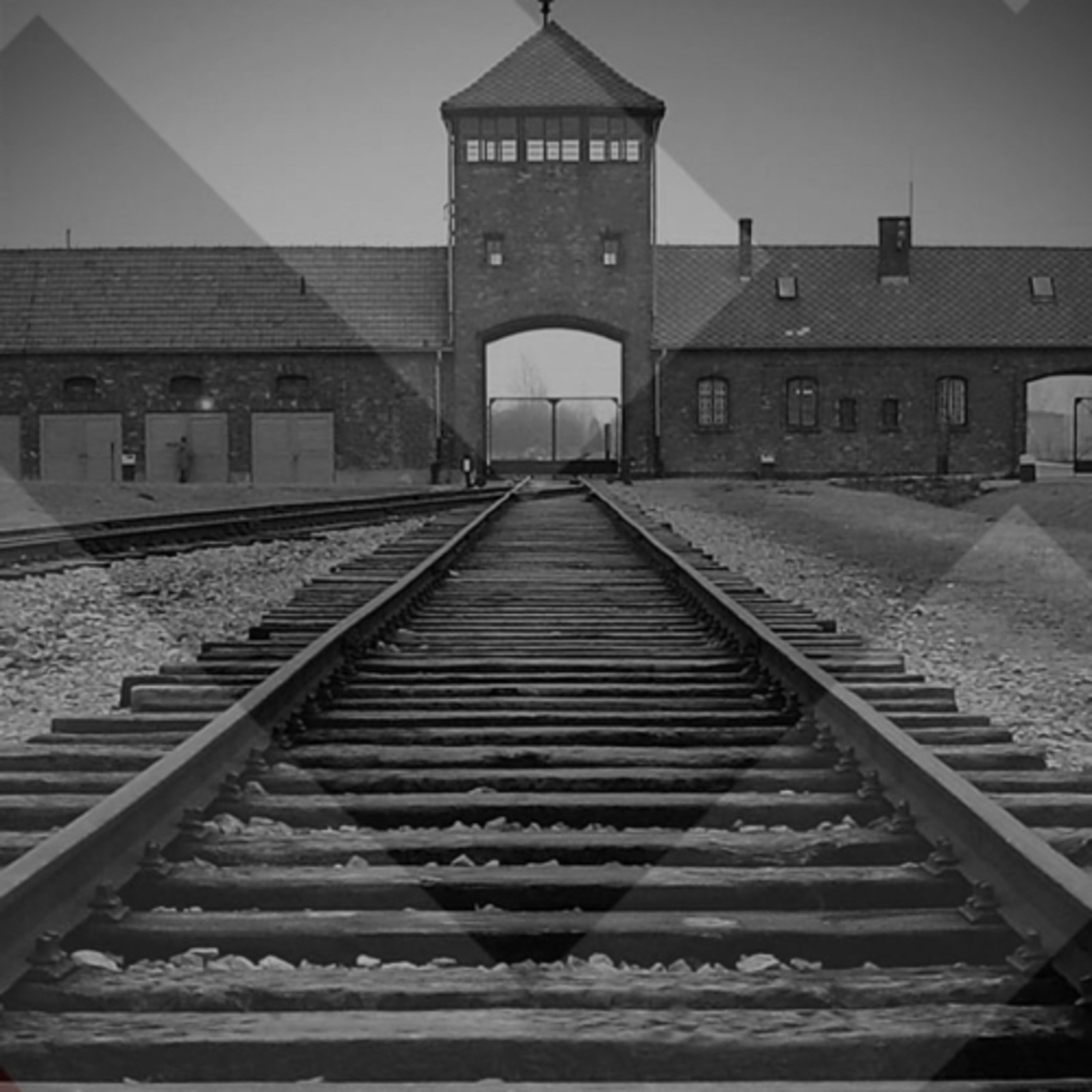 Lessons from Auschwitz episode artwork