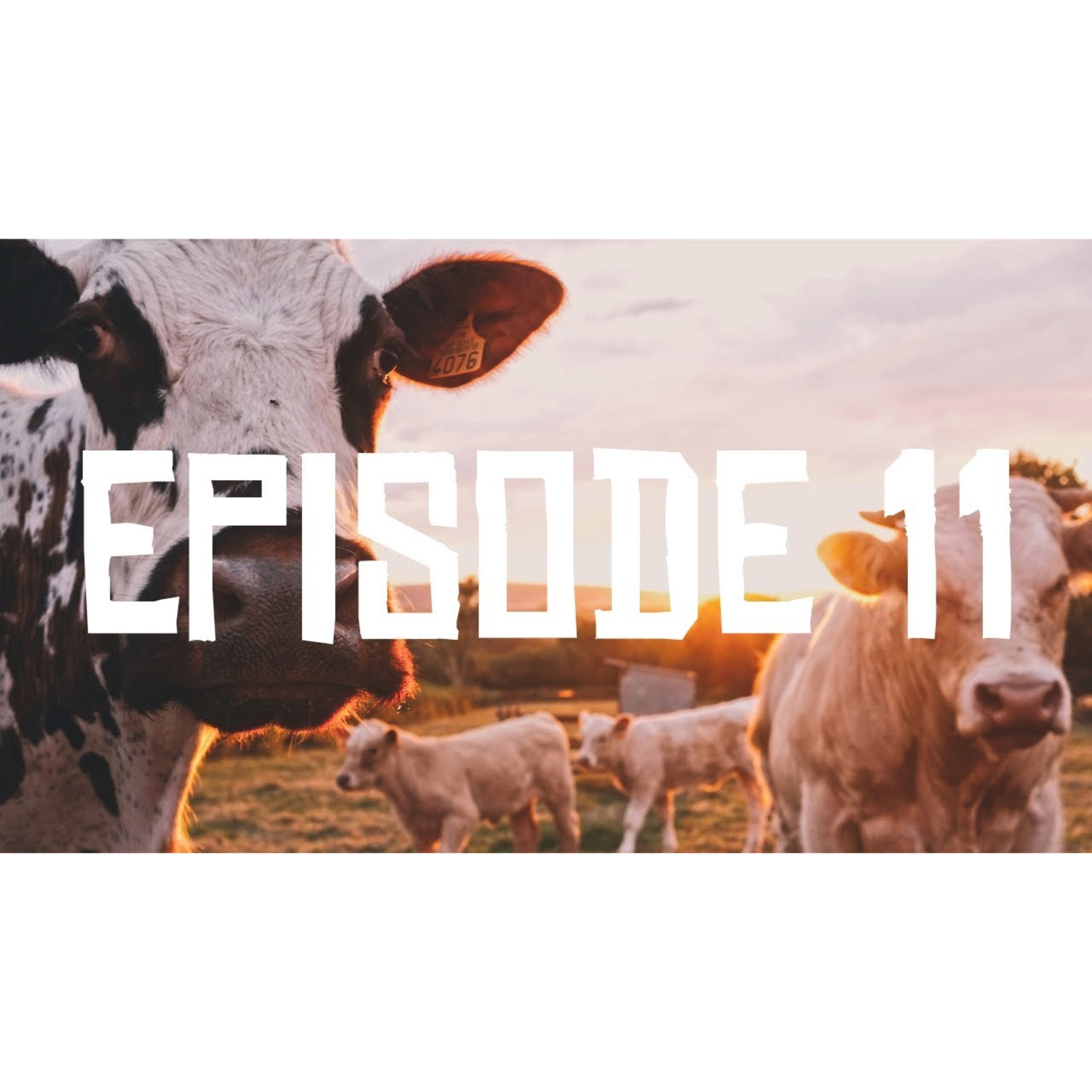 Episode 1.11 - Meat, Nuclei, and BabyShark Malware