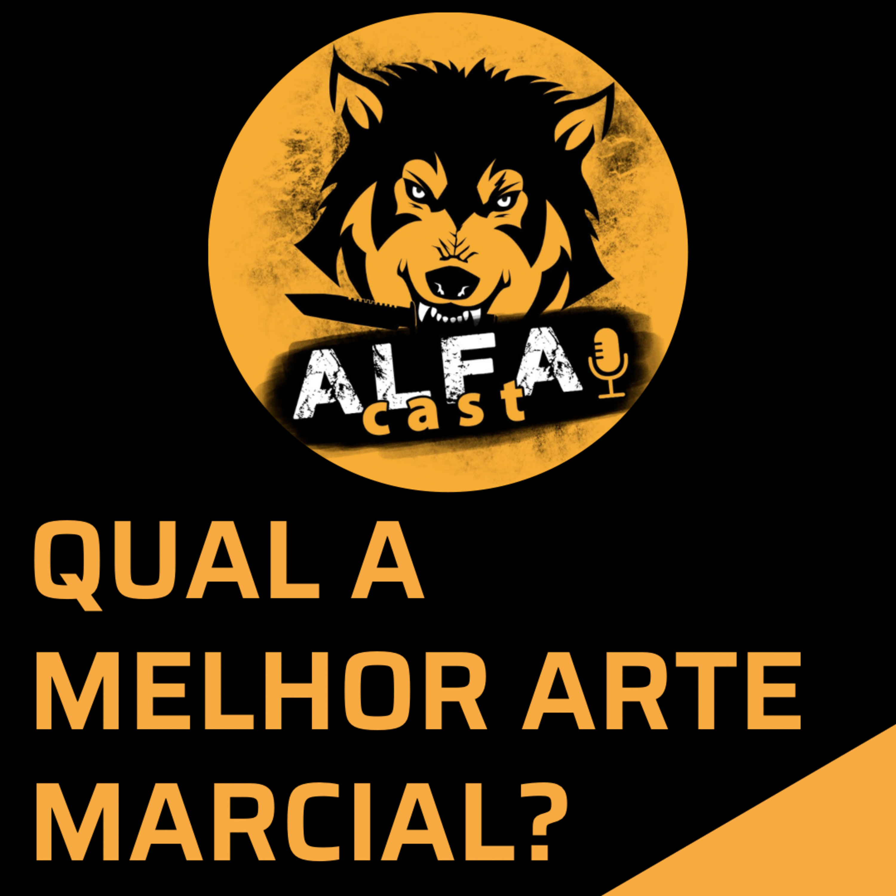 Qual a Melhor Arte Marcial para Defesa Pessoal? episode artwork