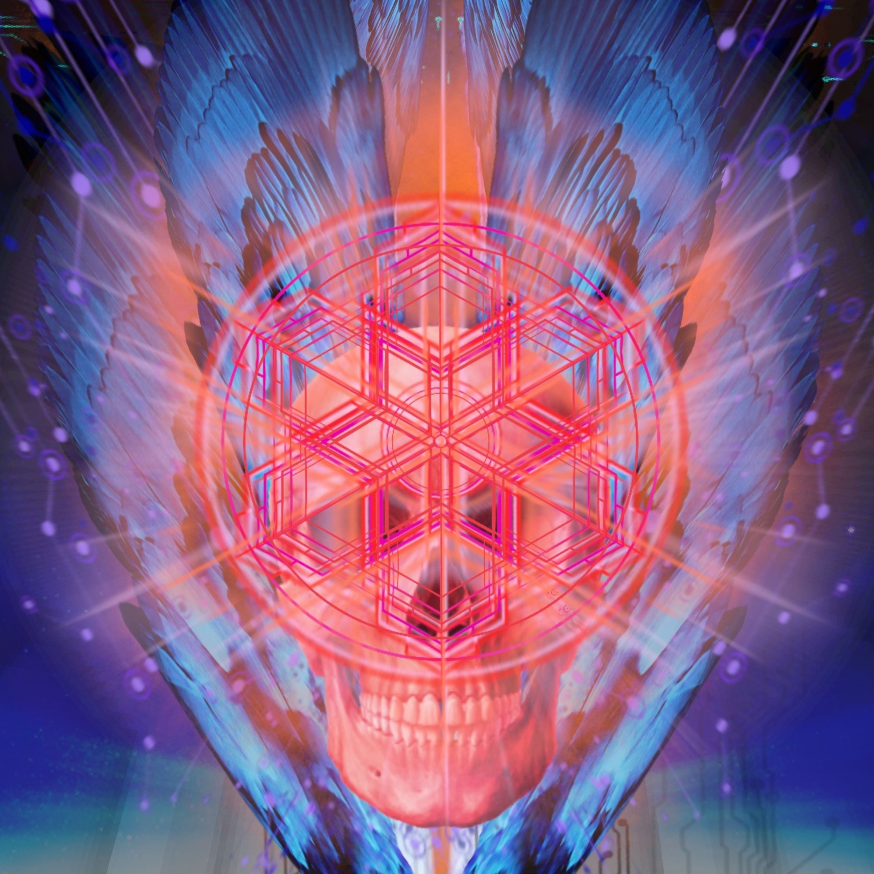 RELATO AYAHUASCA