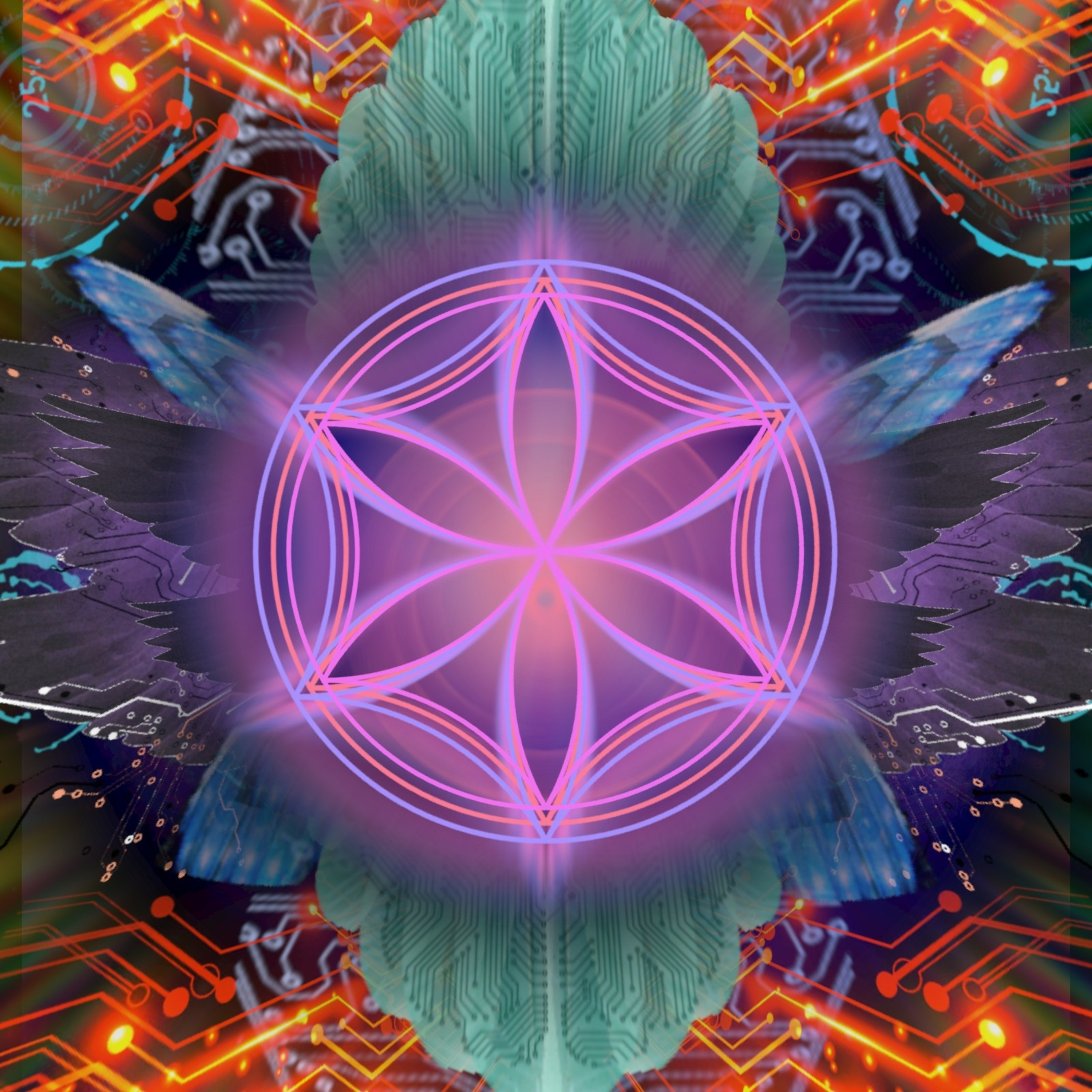 RELATO AYAHUASCA