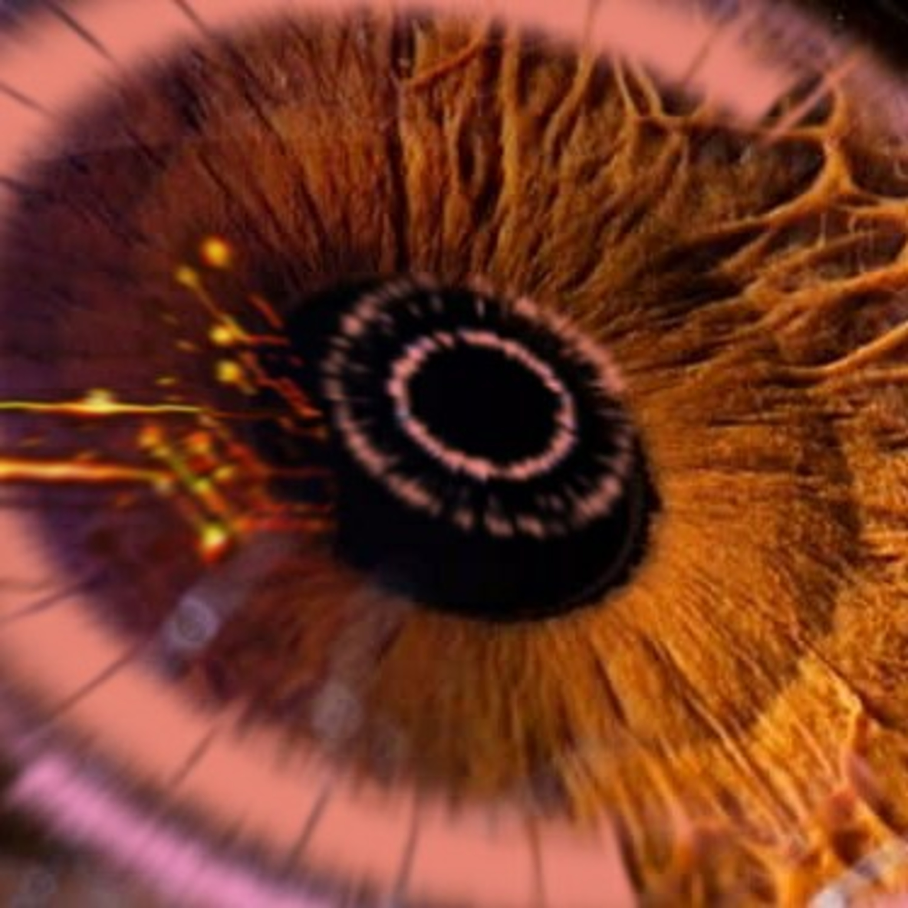 RELATO AYAHUASCA