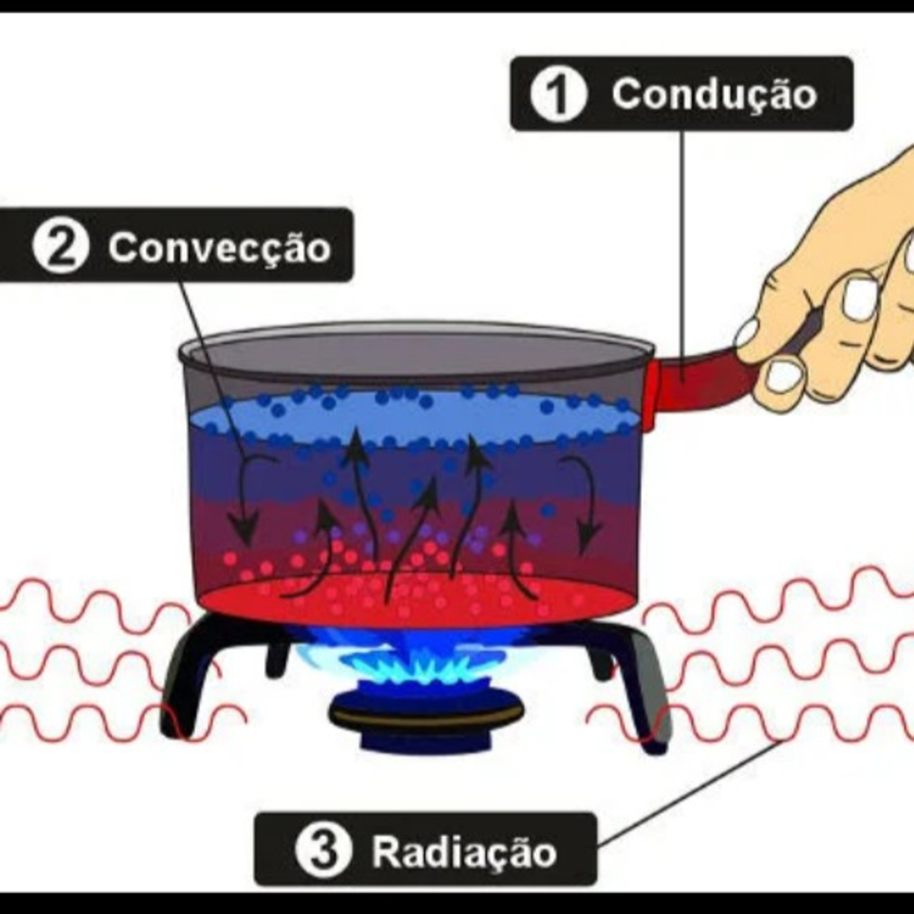 Ciências - Professora Priscila - IBC