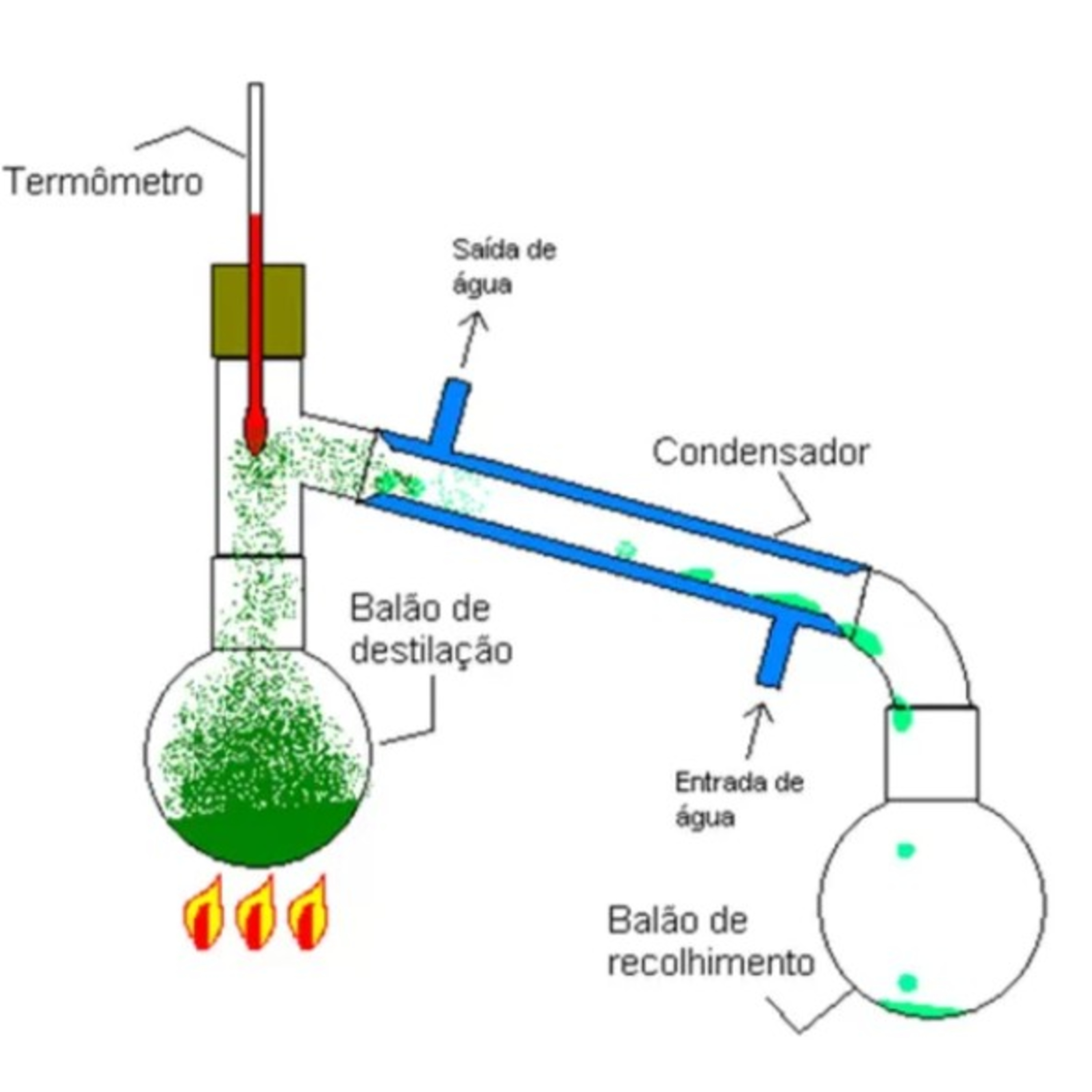 Ciências - Professora Priscila - IBC