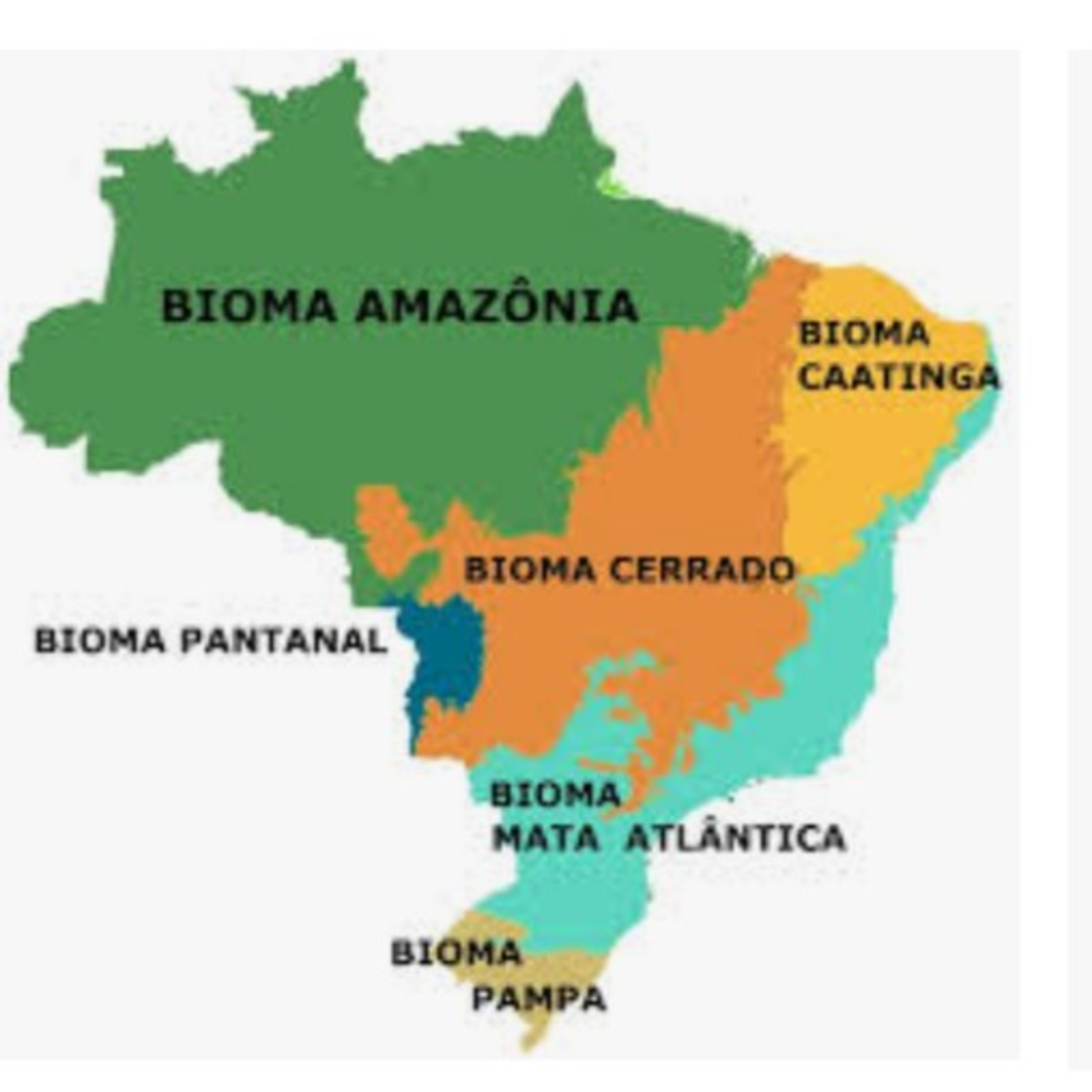 Ciências - Professora Priscila - IBC