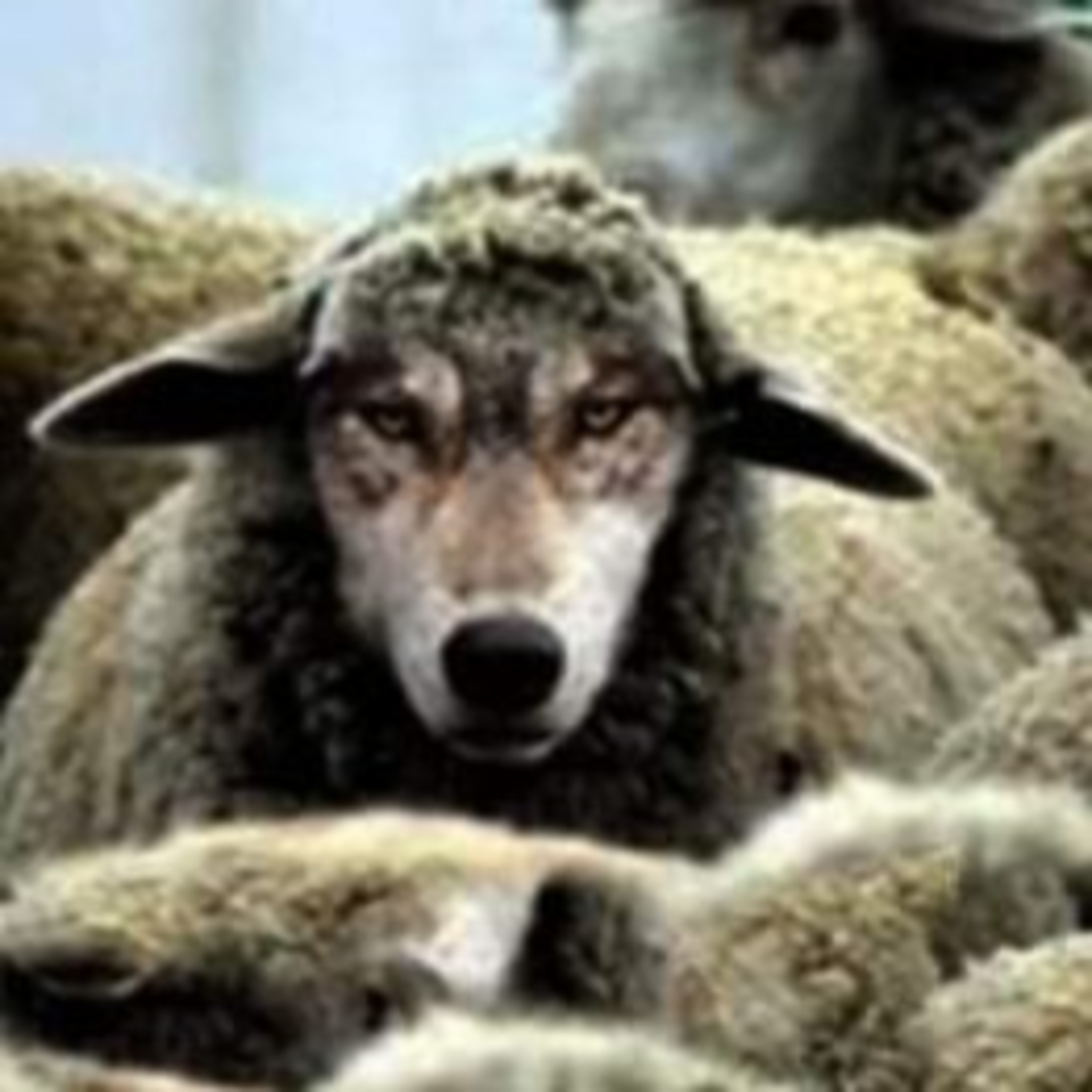 Audio Cast With Fhdprayerministry