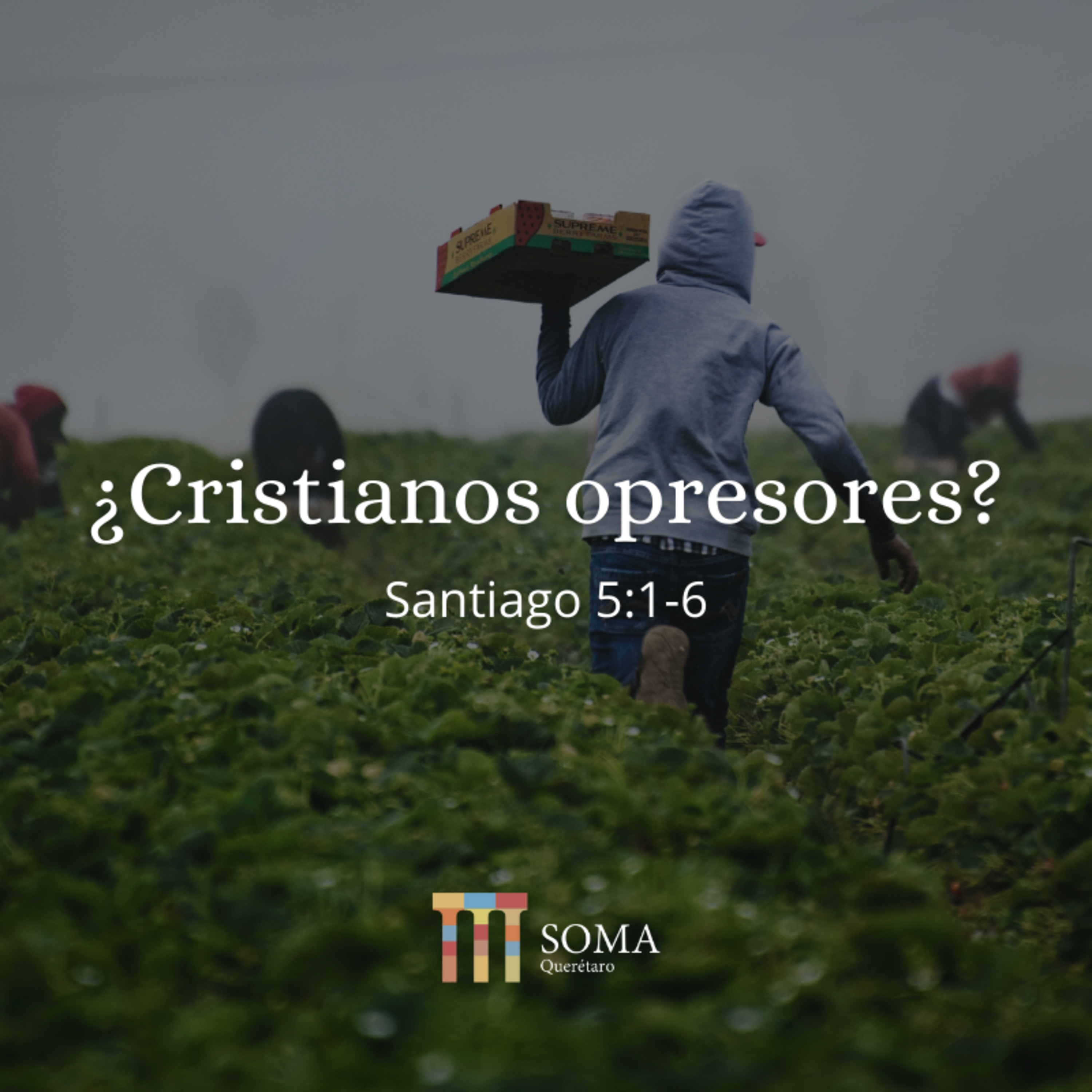Soma Querétaro: Charlas