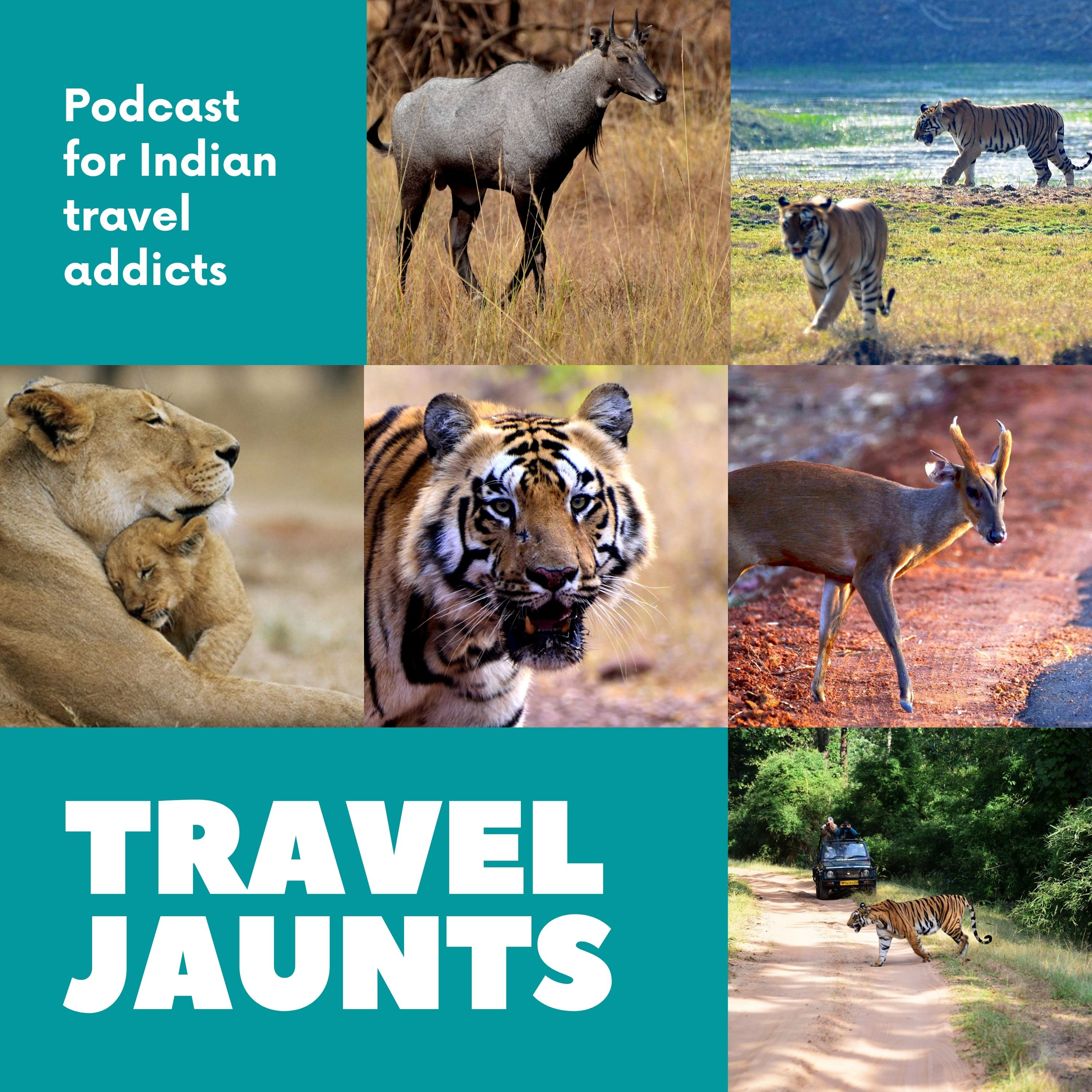 Travel Jaunts - Journeys to enrich your lives