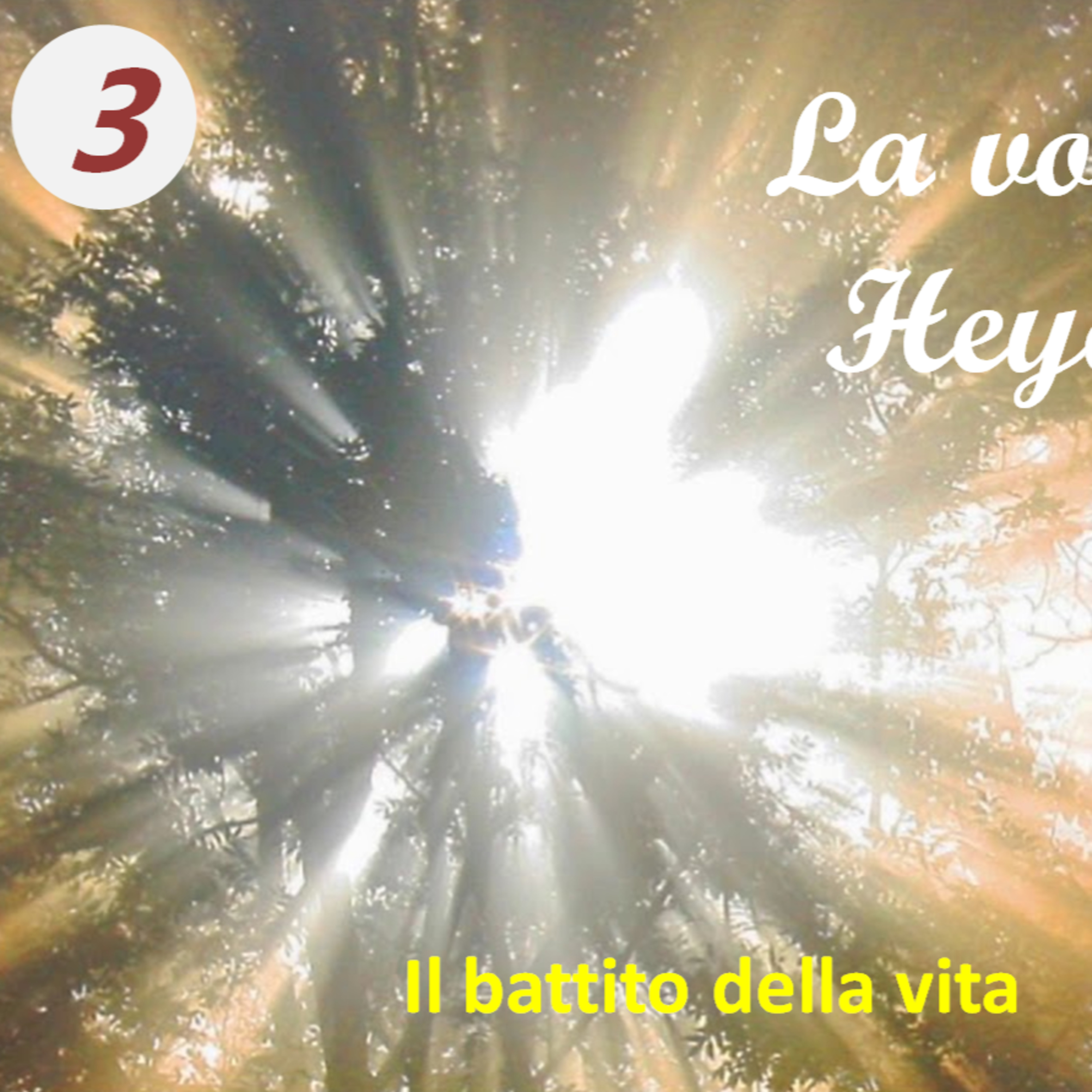 Sandro Savoldelli: la mia quarta dimensione