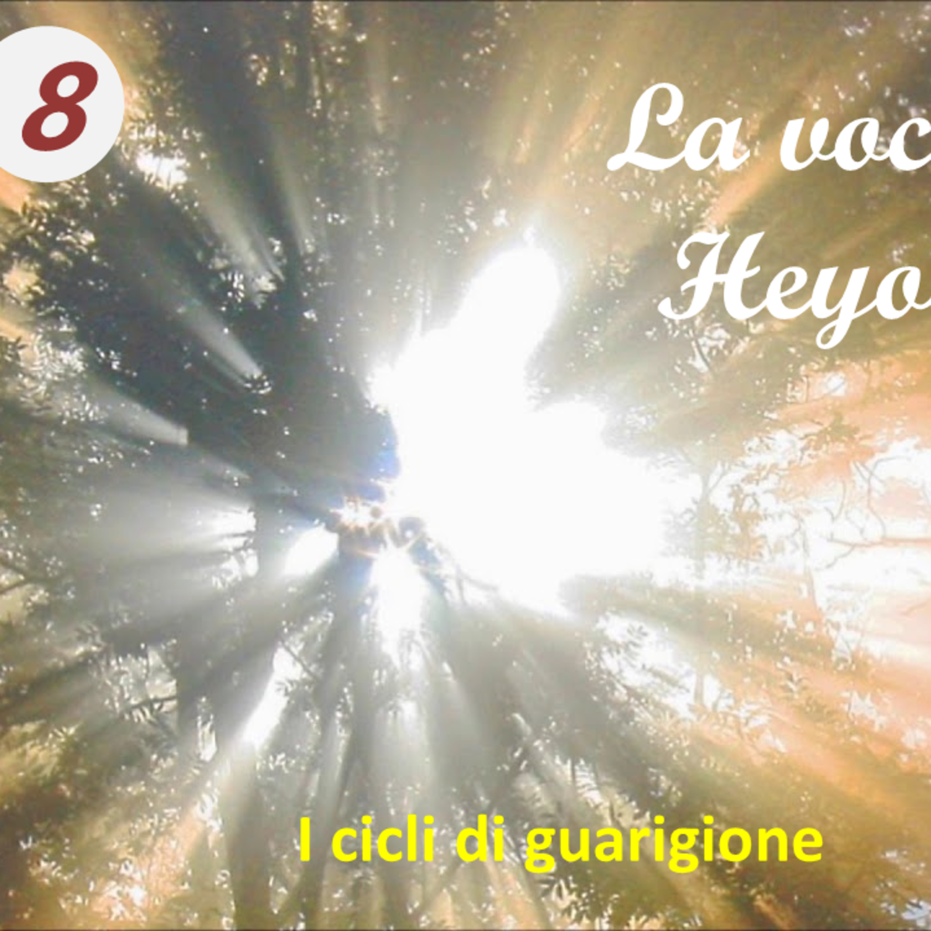 Sandro Savoldelli: la mia quarta dimensione